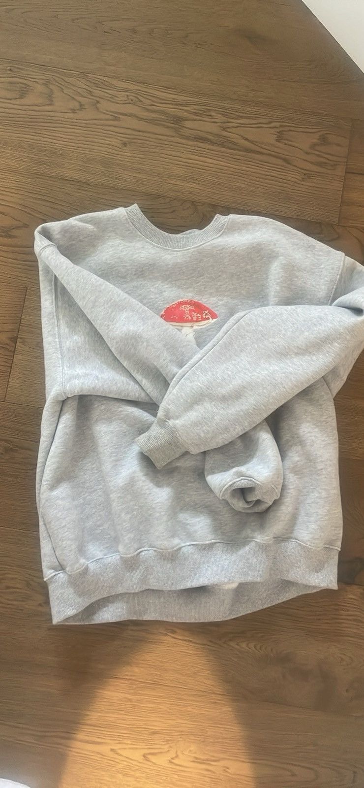 Aritzia Aritzia grey crewneck Size M / US 6-8 / IT 42-44 - 1 Thumbnail