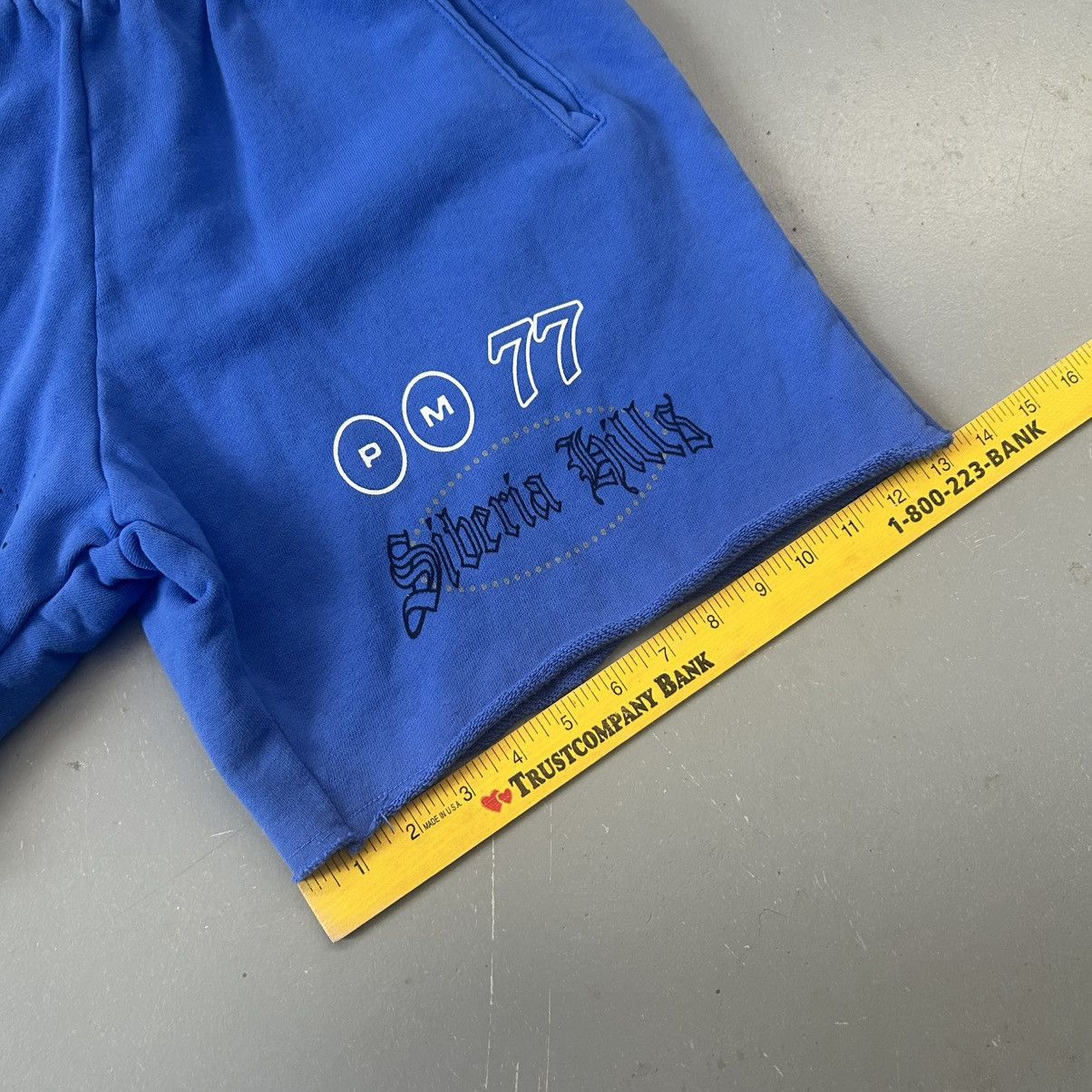Rap Tees × Siberia Hills Siberia Hills x Post Malone Himalayas Racing Blue Shorts Size US 30 / EU 46 - 7 Thumbnail