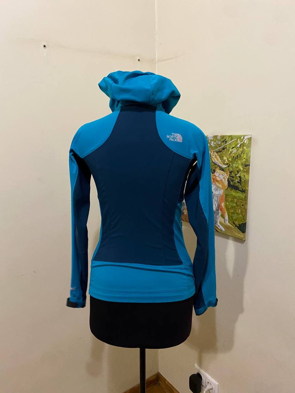 The North Face THE NORTH FACE Windstopper Jacket Women's XS Windbreaker Size XS / US 0-2 / IT 36-38 - 8 Thumbnail