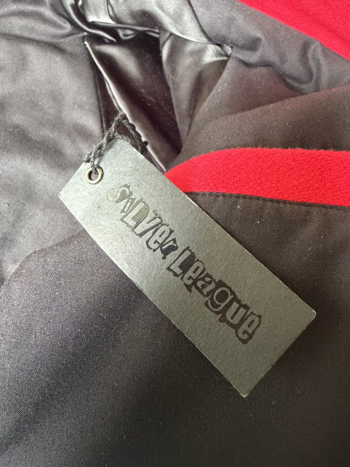 Raf Simons Raf Simons AW2002-2003 Virgina Creeper varsity jacket Size US L / EU 52-54 / 3 - 6 Thumbnail