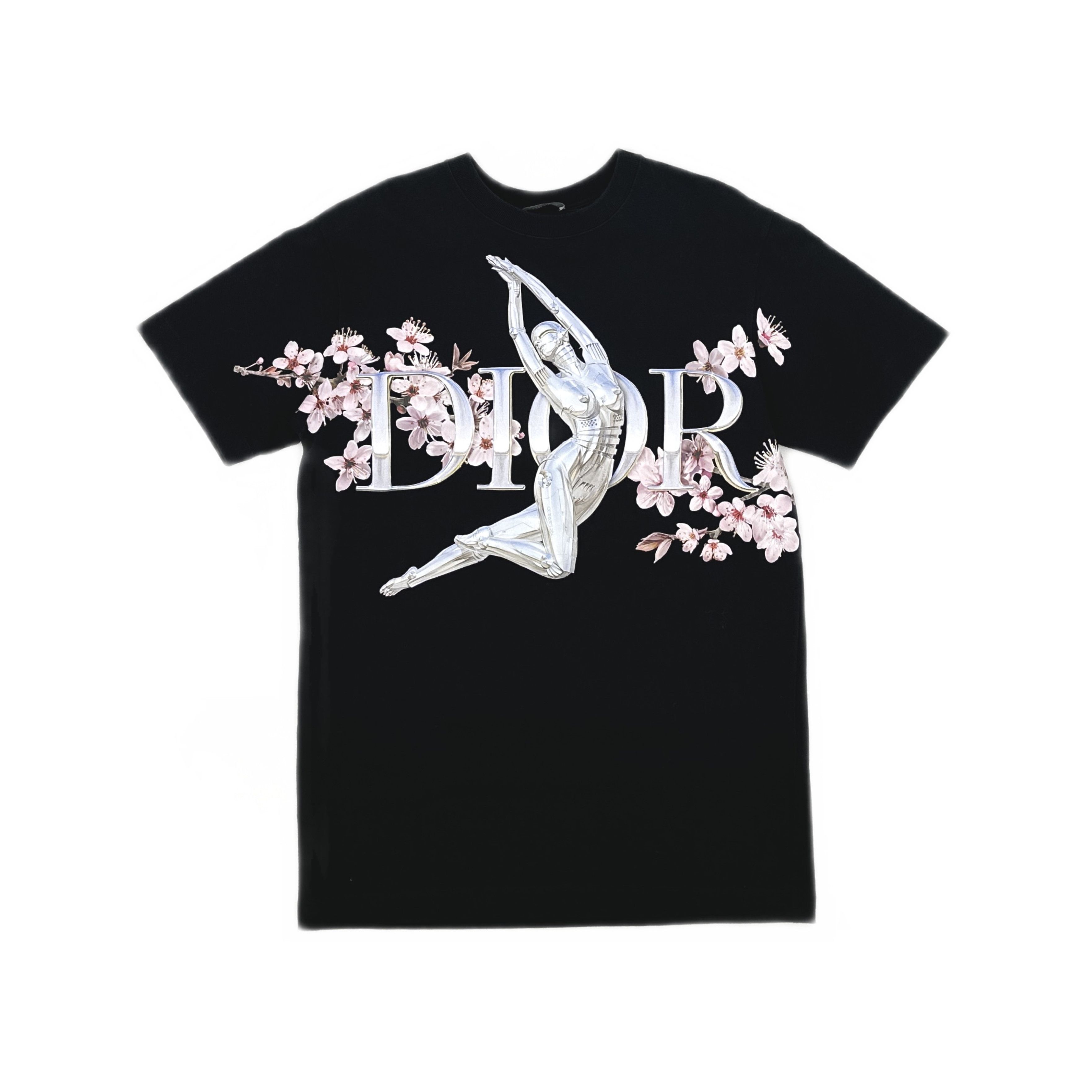 Dior × Hedi Slimane SS06 Dior Homme 