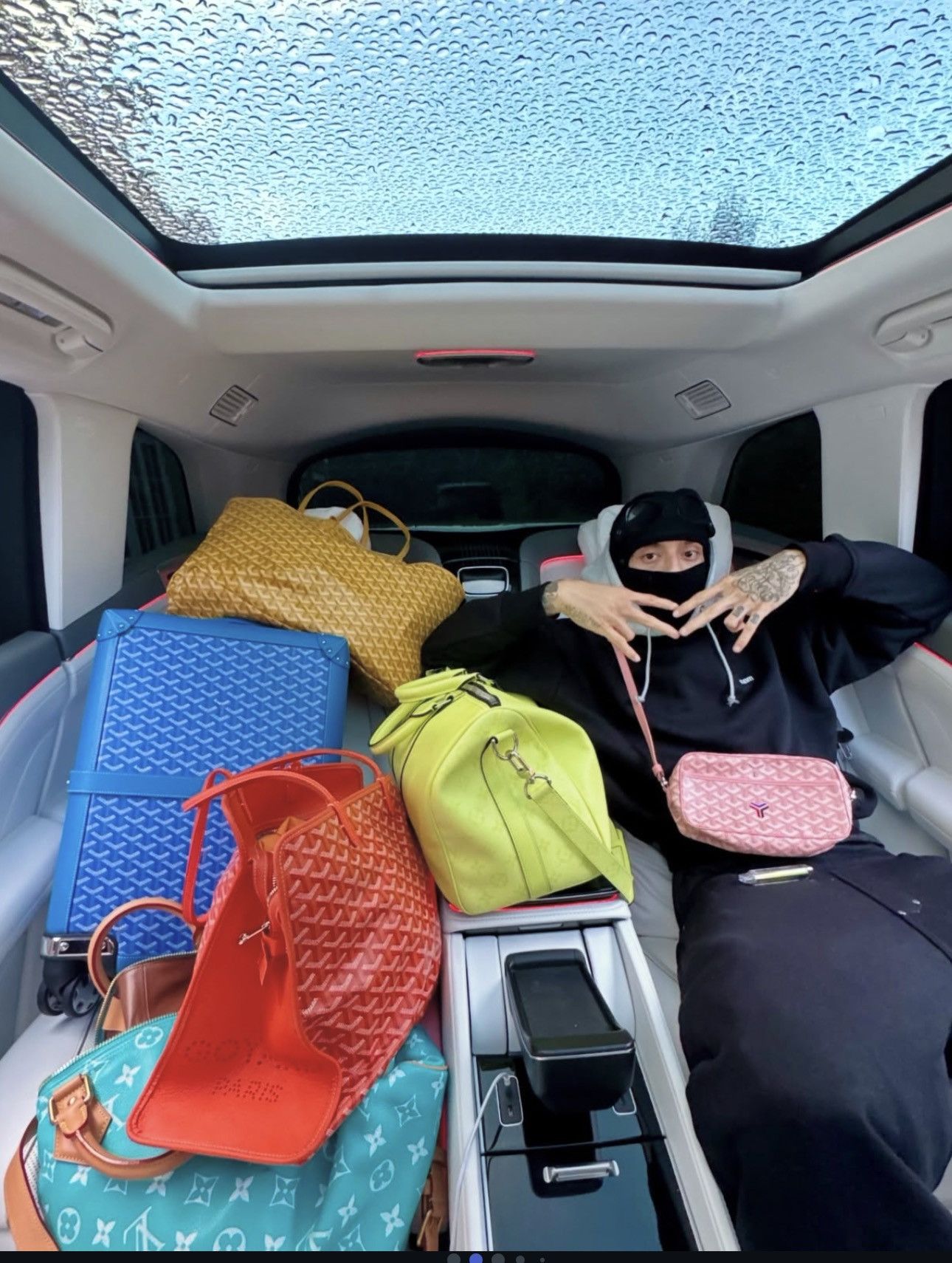 Goyard BOURGET PM CABIN SUITCASE Size ONE SIZE - 2 Thumbnail