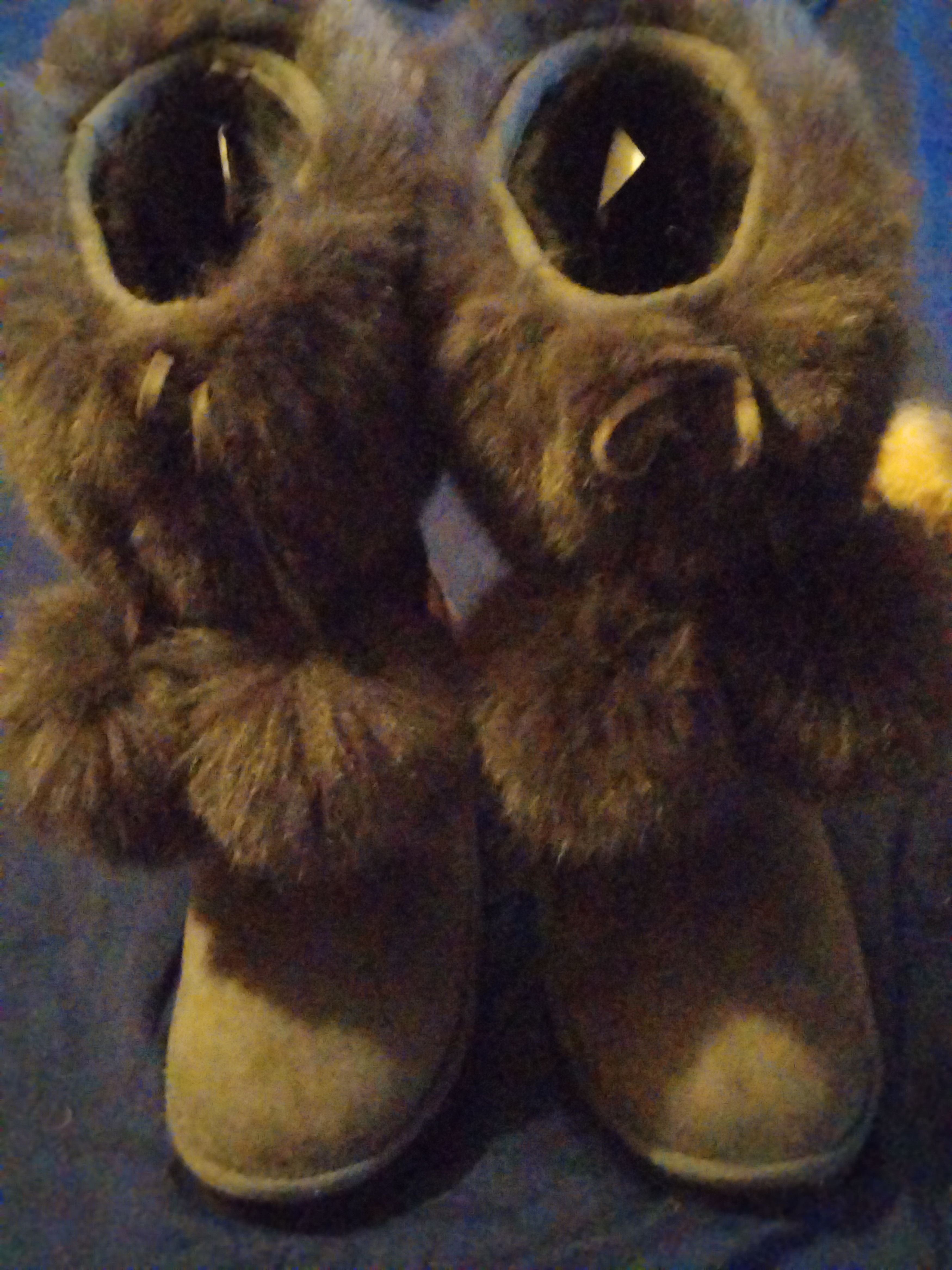 Other Array Fur Top Boots W/ Pom Poms Size US 9 / IT 39 - 1 Thumbnail