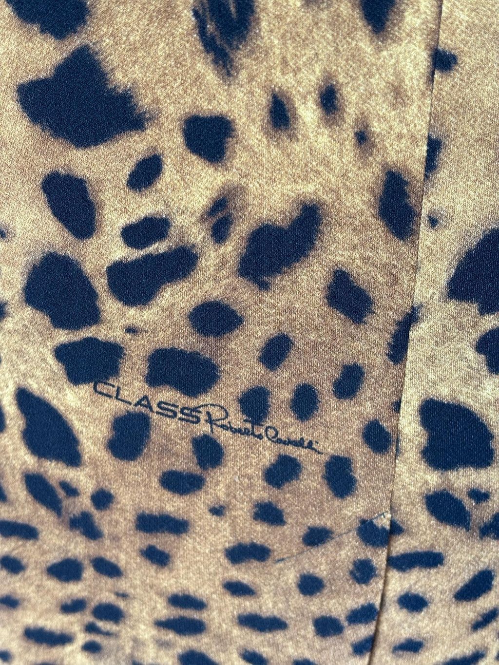 Roberto Cavalli Class Roberto Cavalli Leopard Print Dress Bodycon Size S / US 4 / IT 40 - 6 Thumbnail