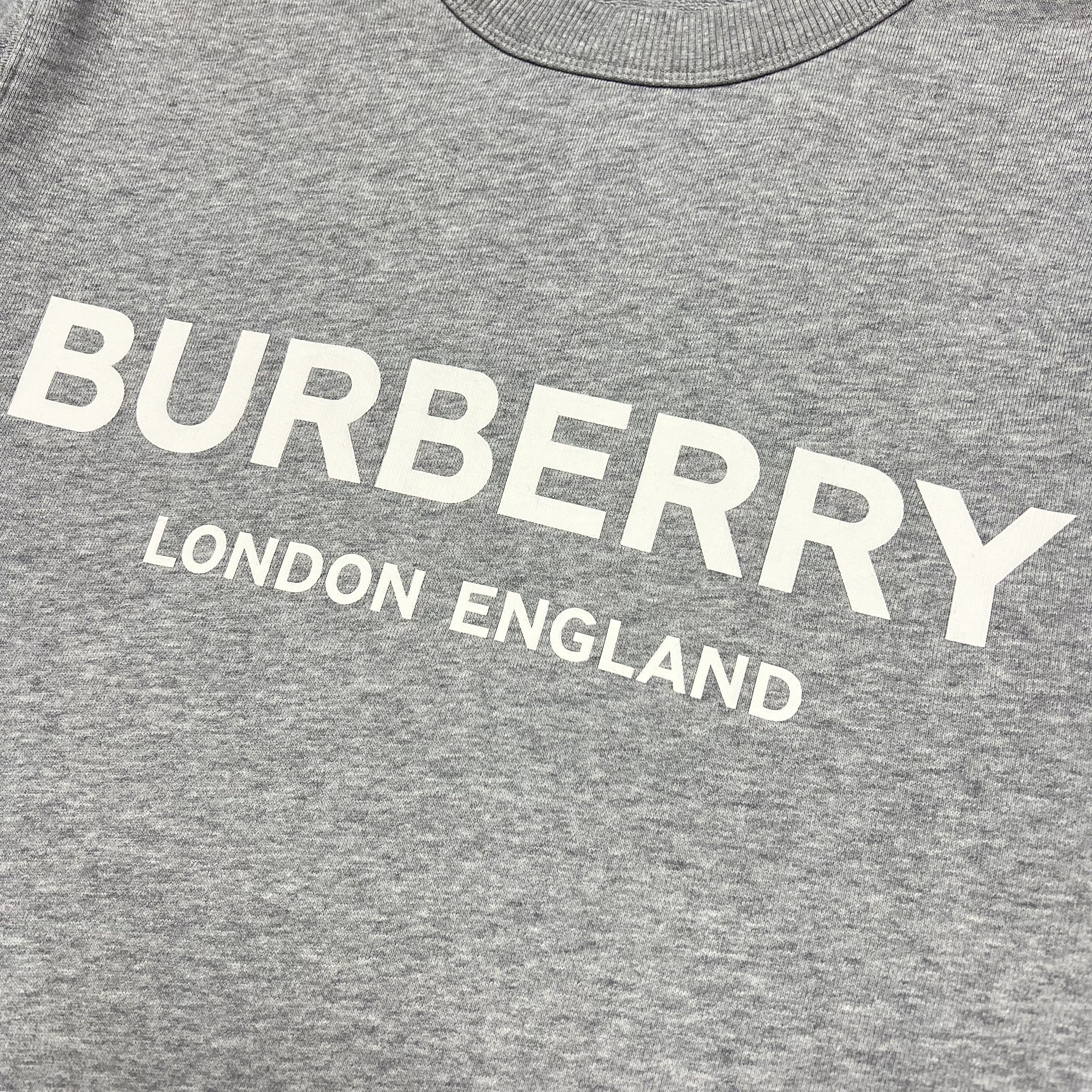Burberry Burberry Landlow Sweatshirt Size US S / EU 44-46 / 1 - 3 Thumbnail