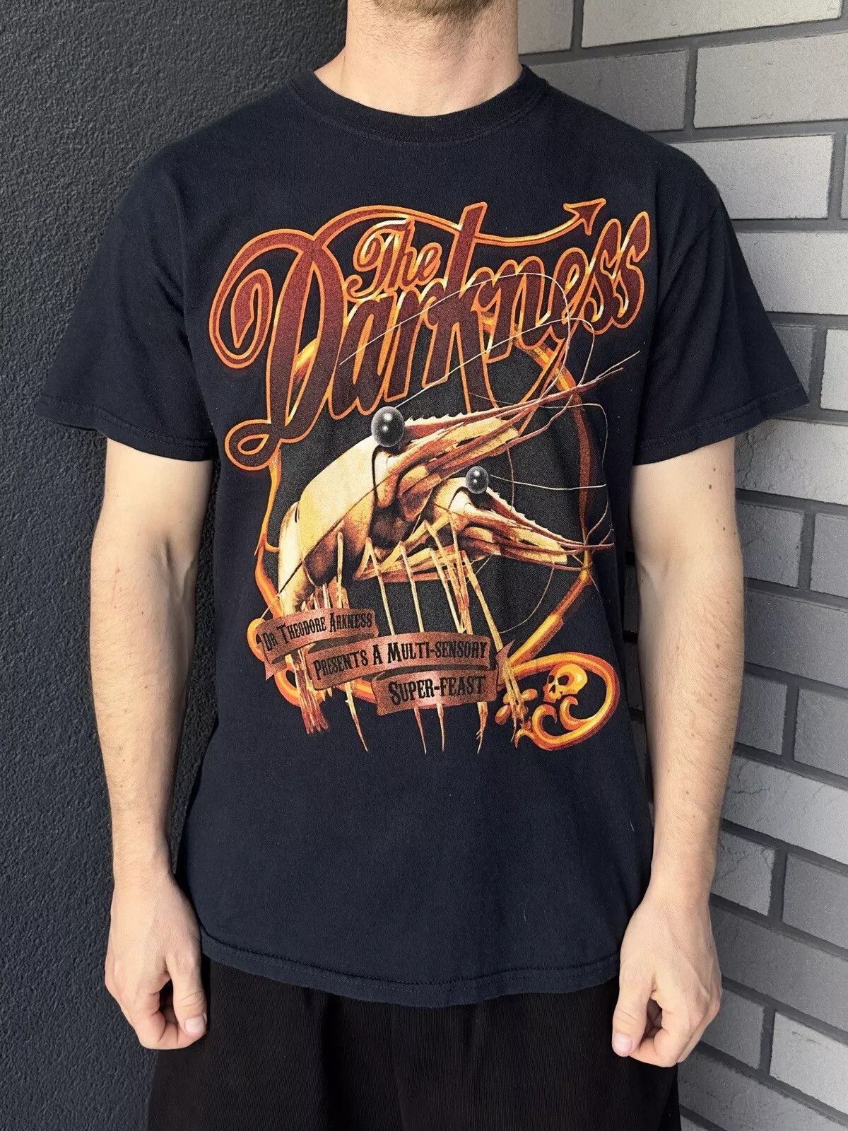 Gildan The Darkness Tour 2011 Shirt Tee Band Rock Metall Size US M / EU 48-50 / 2 - 5 Thumbnail
