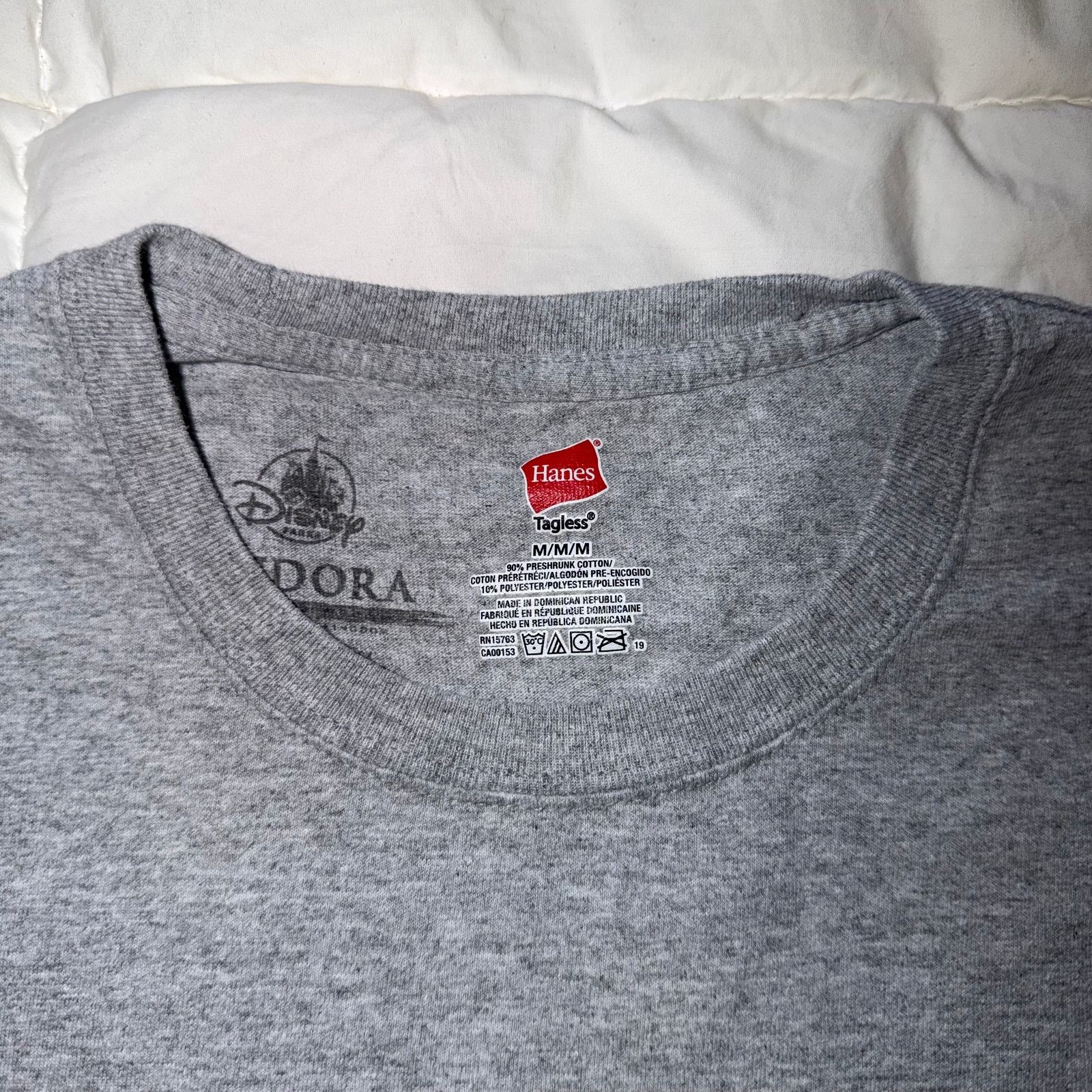 Disney Disney Pandora Avatar T Shirt Mens L Gray Animal Kingdom Size US L / EU 52-54 / 3 - 3 Thumbnail