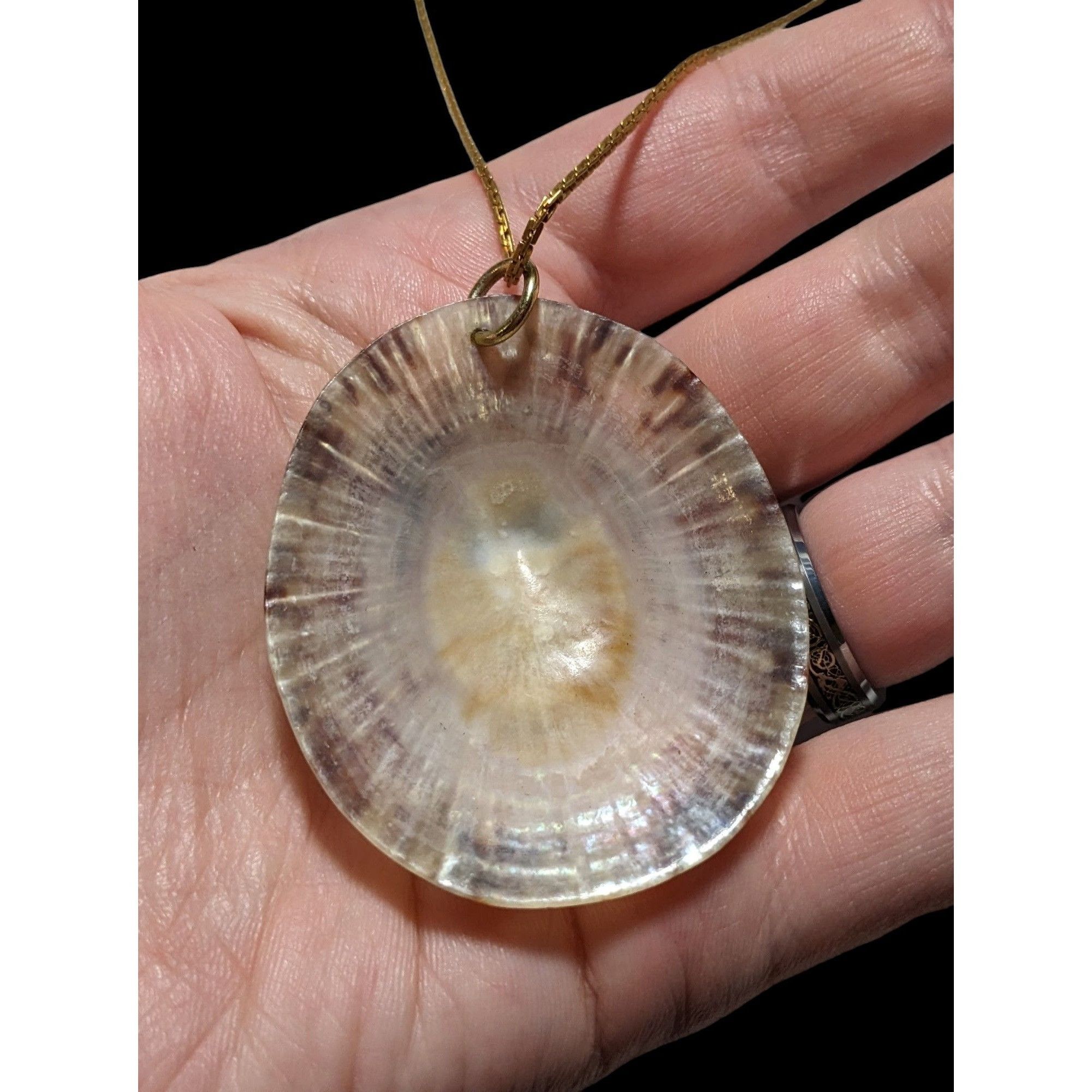 Other Limpet Shell Pendant Necklace Size ONE SIZE - 4 Thumbnail