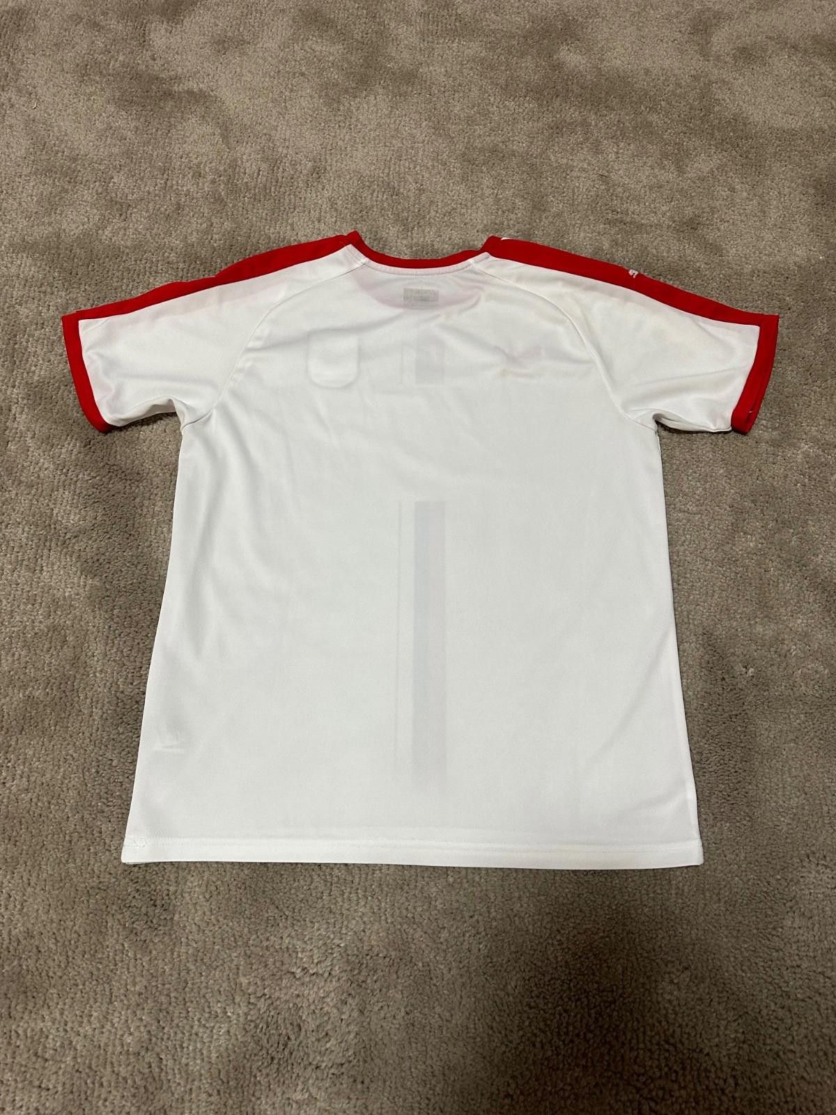 Puma Puma 2018-20 Serbia Away Football Shirt Soccer Jersey Sz M Size US M / EU 48-50 / 2 - 7 Thumbnail