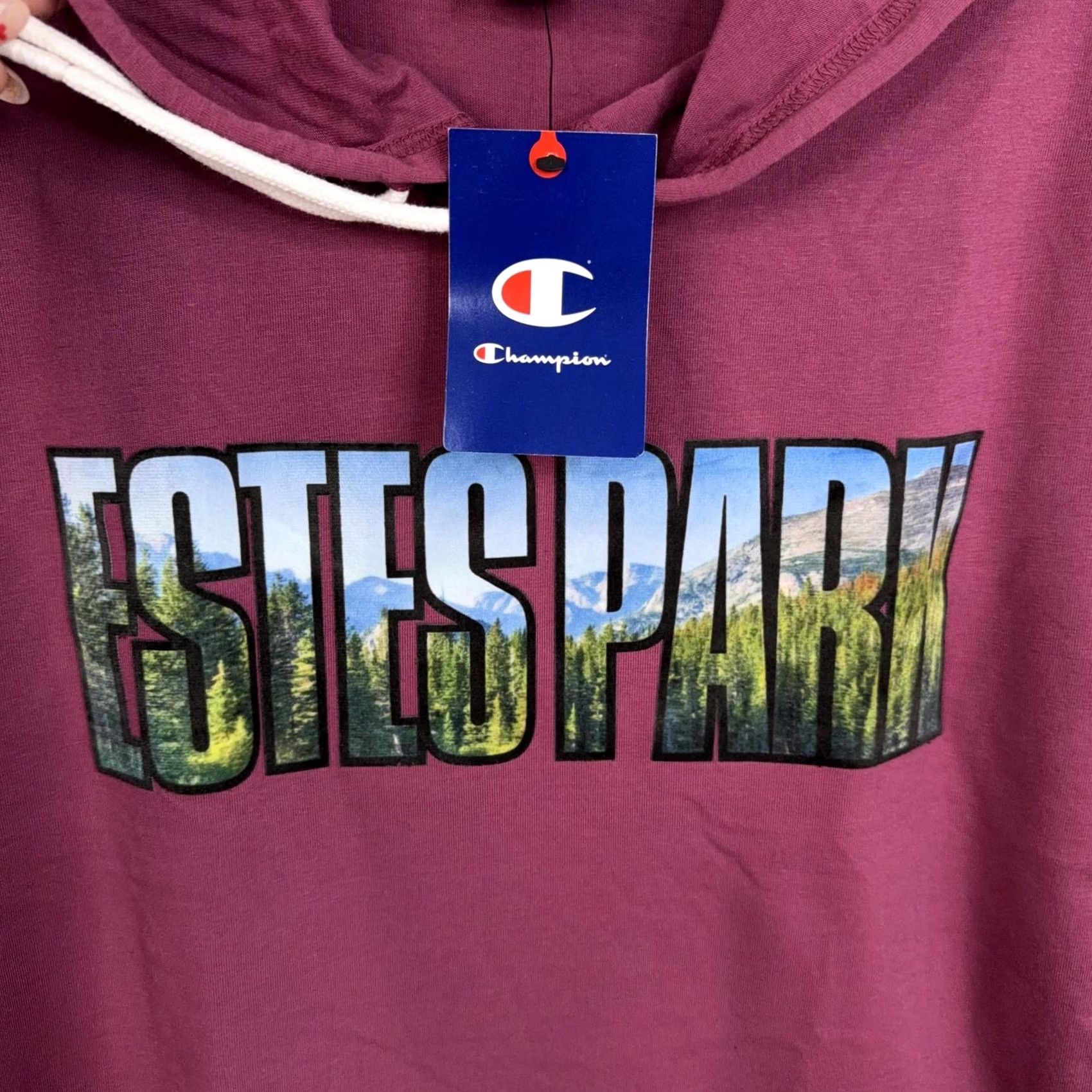 Champion Champion Hoodie Mens Large Red Estes Park Graphic Lightweight Pullover NWT Size US L / EU 52-54 / 3 - 3 Thumbnail