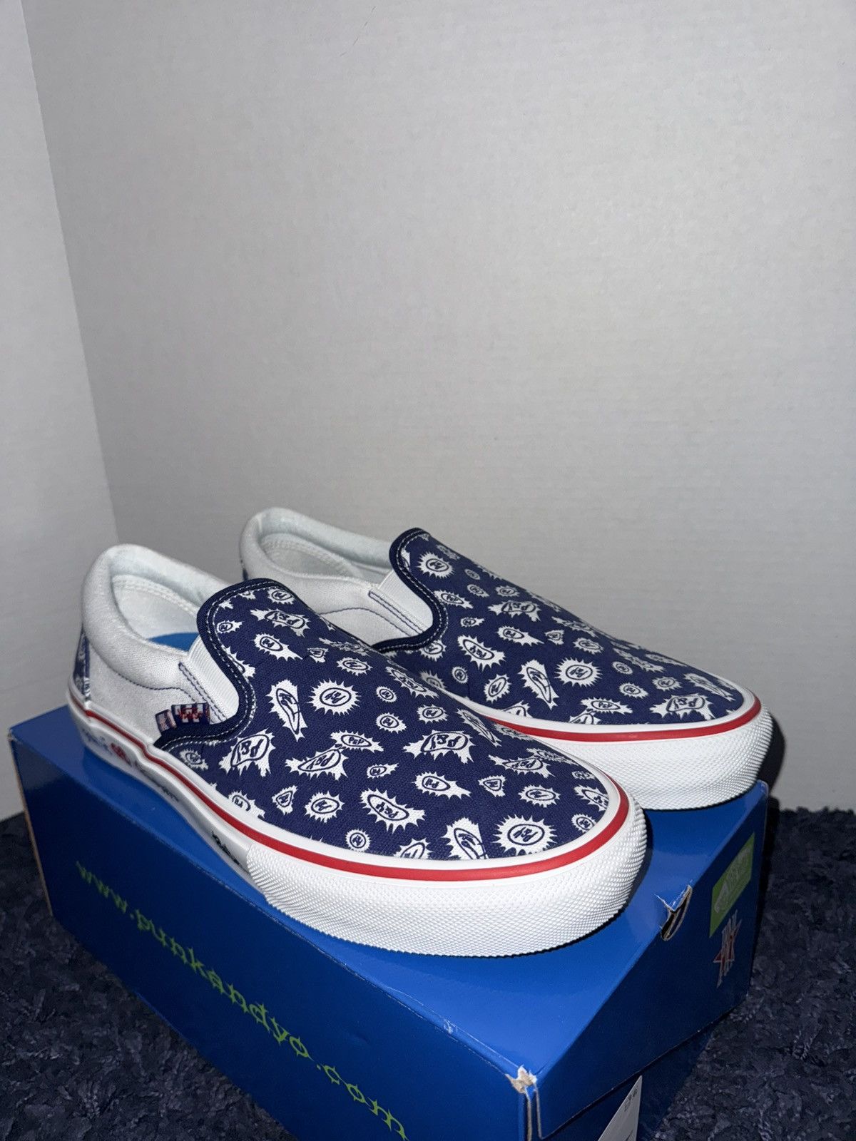 Vans Vans PUNKANDYO Slip-On | Grailed