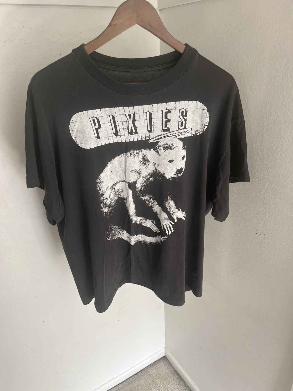 Vintage pixies shirt