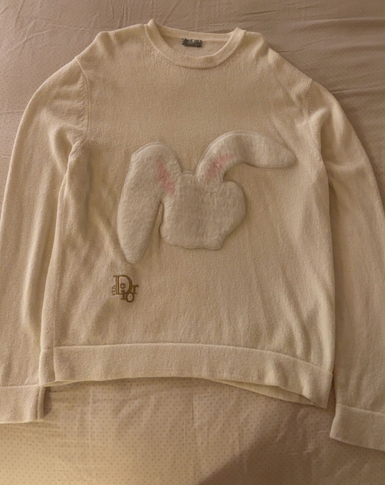 Dior 2023 SS Dior sweatshirt Size US L / EU 52-54 / 3 - 1 Thumbnail