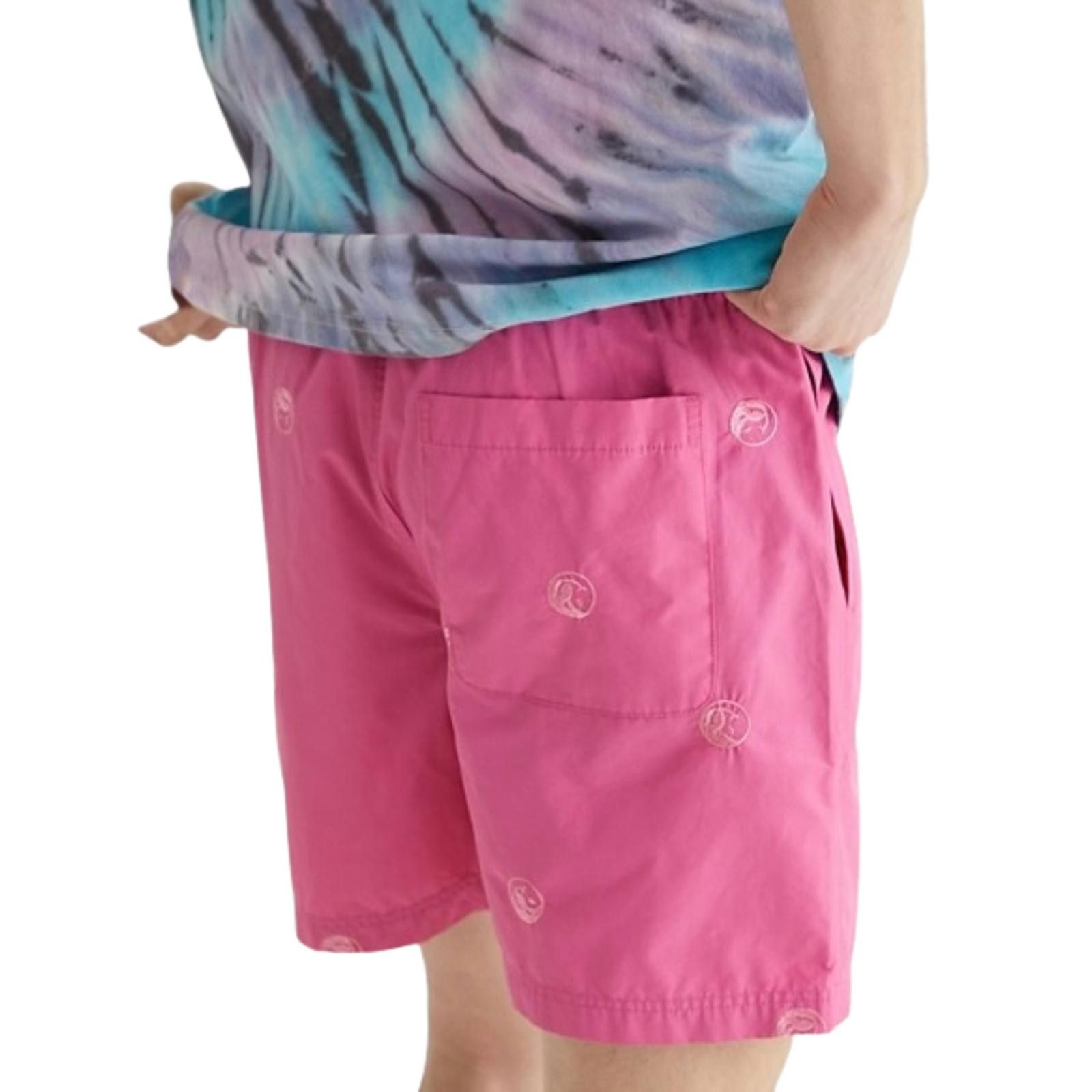 Urban Outfitters NWOT Urban Outfitters Embroidered Icon 5" Mens Nylon Shorts Size US 32 / EU 48 - 4 Thumbnail