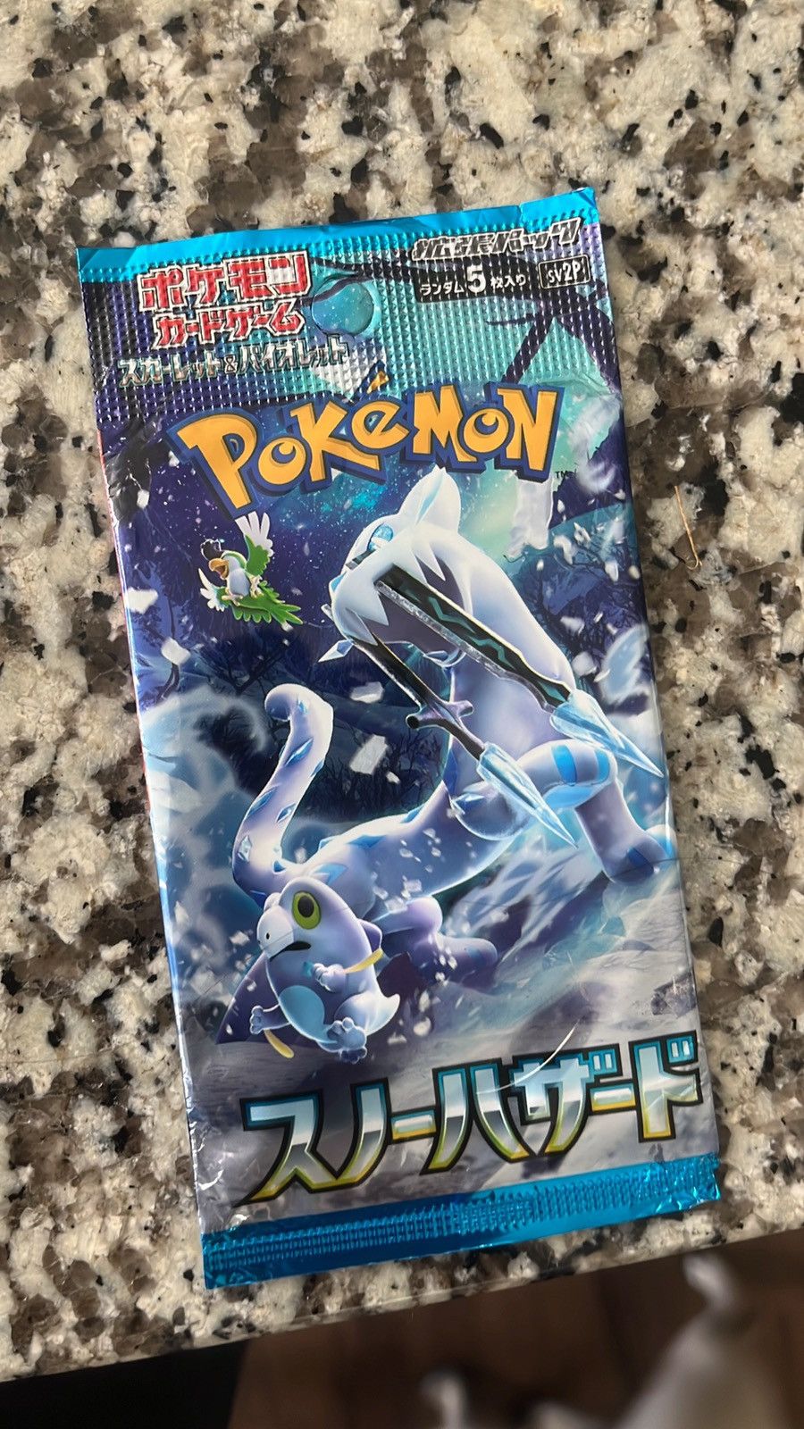 Nintendo × Pokemon Pokemon Japanese Pack Size ONE SIZE - 1 Preview