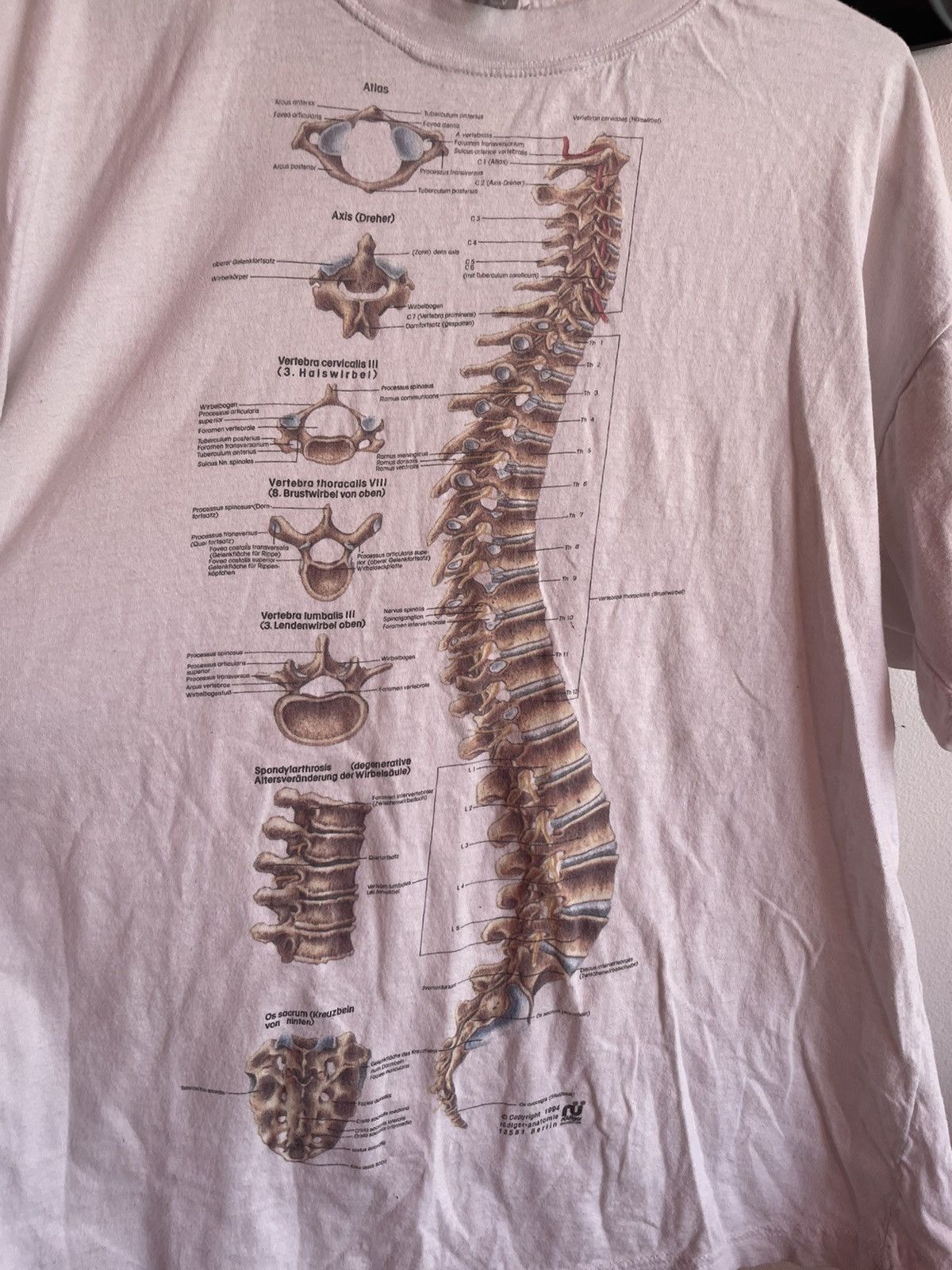 Arts & Science × Band Tees × Vintage Skeleton Anatomy Rudiger 1994 Spinal Collum Science T Shirt Size US L / EU 52-54 / 3 - 3 Thumbnail