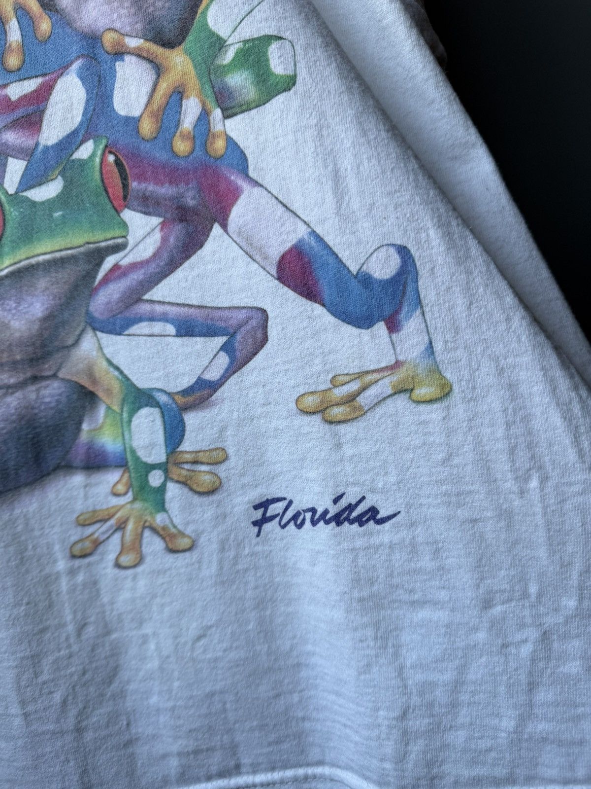 Vintage Vintage Florida Leap Frogs Royce Print Tee Size L Size US L / EU 52-54 / 3 - 4 Thumbnail