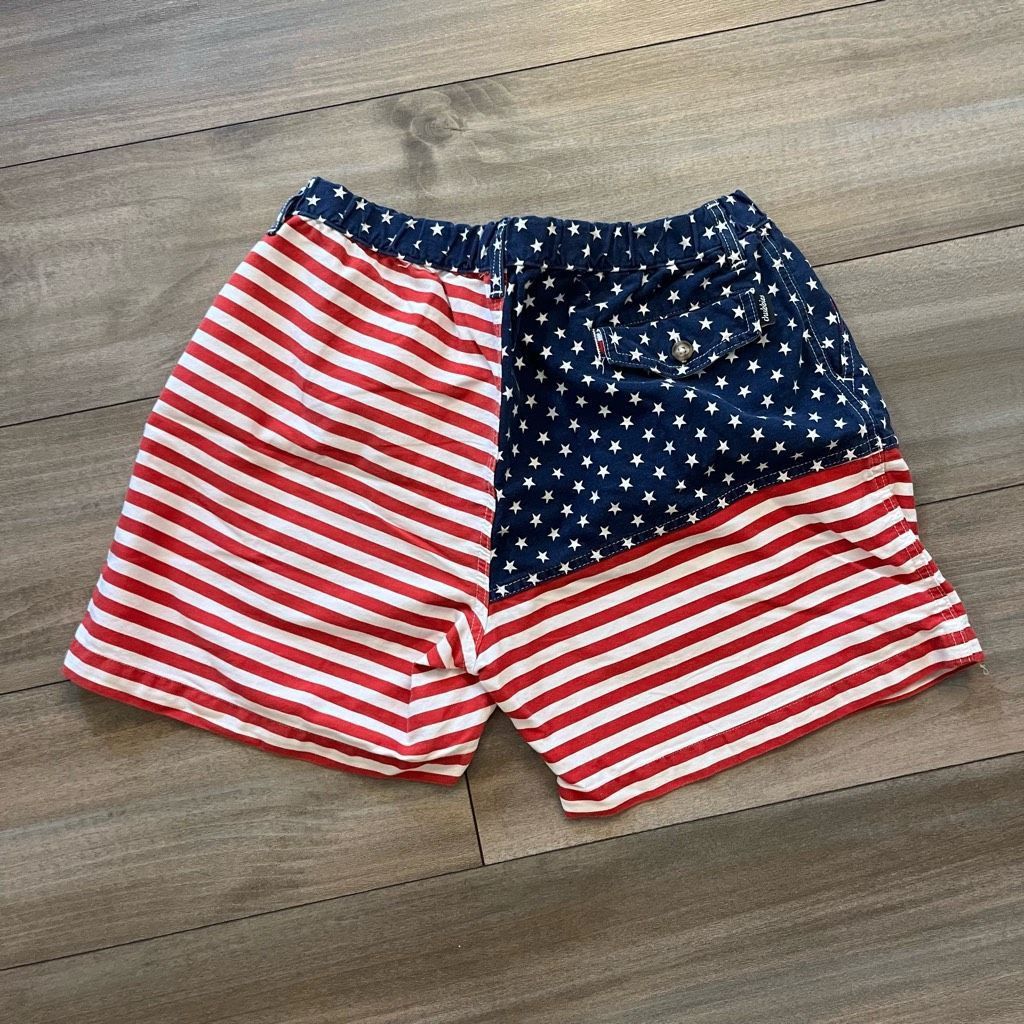 Chubbies Chubbies Mericas Multicolor American Flag Casual Shorts Men Size US 42 / EU 58 - 4 Thumbnail