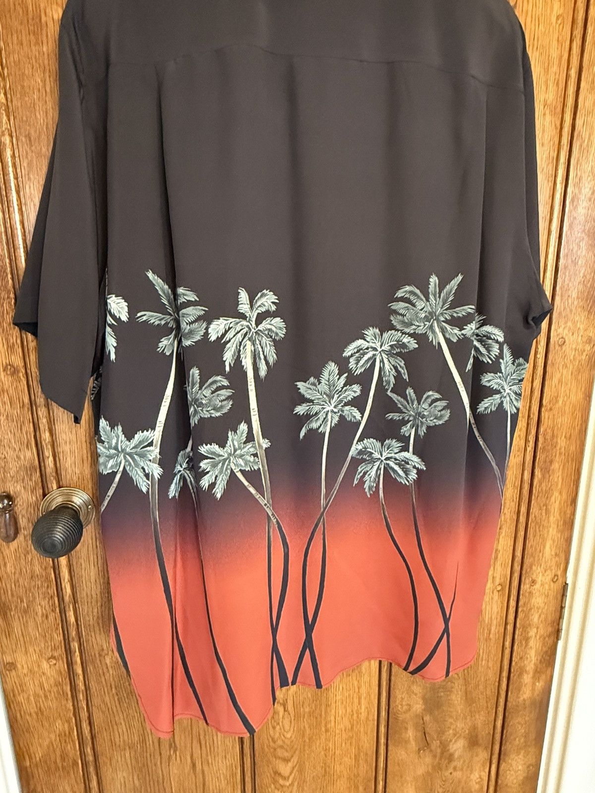 Celine $1.6k SS22 Celine Tailcoat palm tree Shirt in Silk Hedi 41 Size US L / EU 52-54 / 3 - 18 Thumbnail