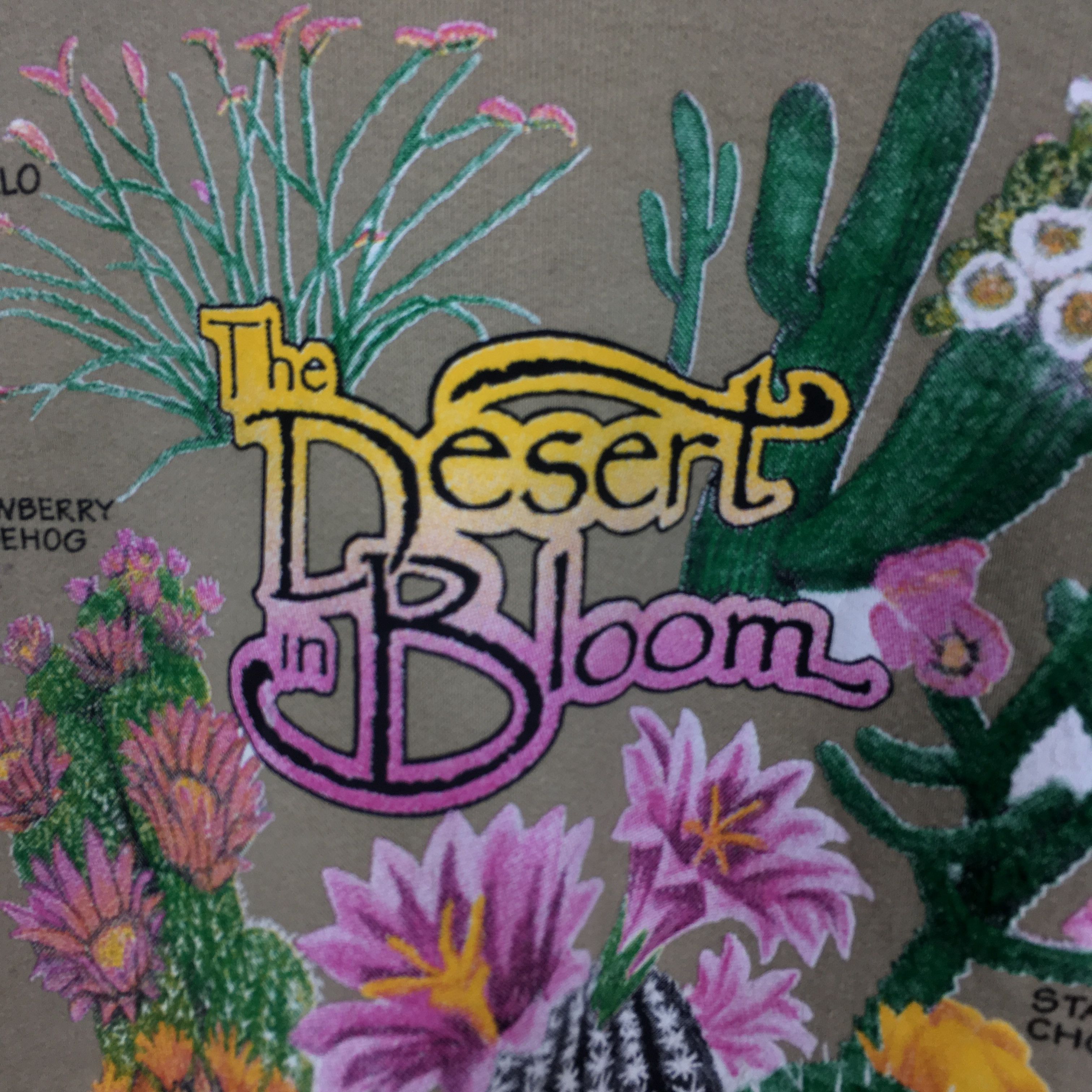 Hanes the desert bloom sweatshirt - 199 Size US M / EU 48-50 / 2 - 5 Thumbnail