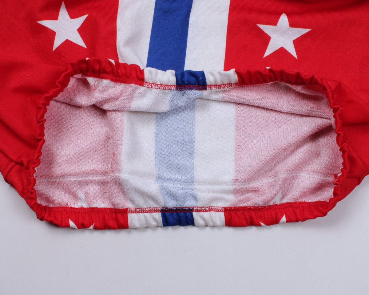 Vintage Vintage USA Flag Cycling Short Sleeve Jersey Size US M / EU 48-50 / 2 - 12 Thumbnail