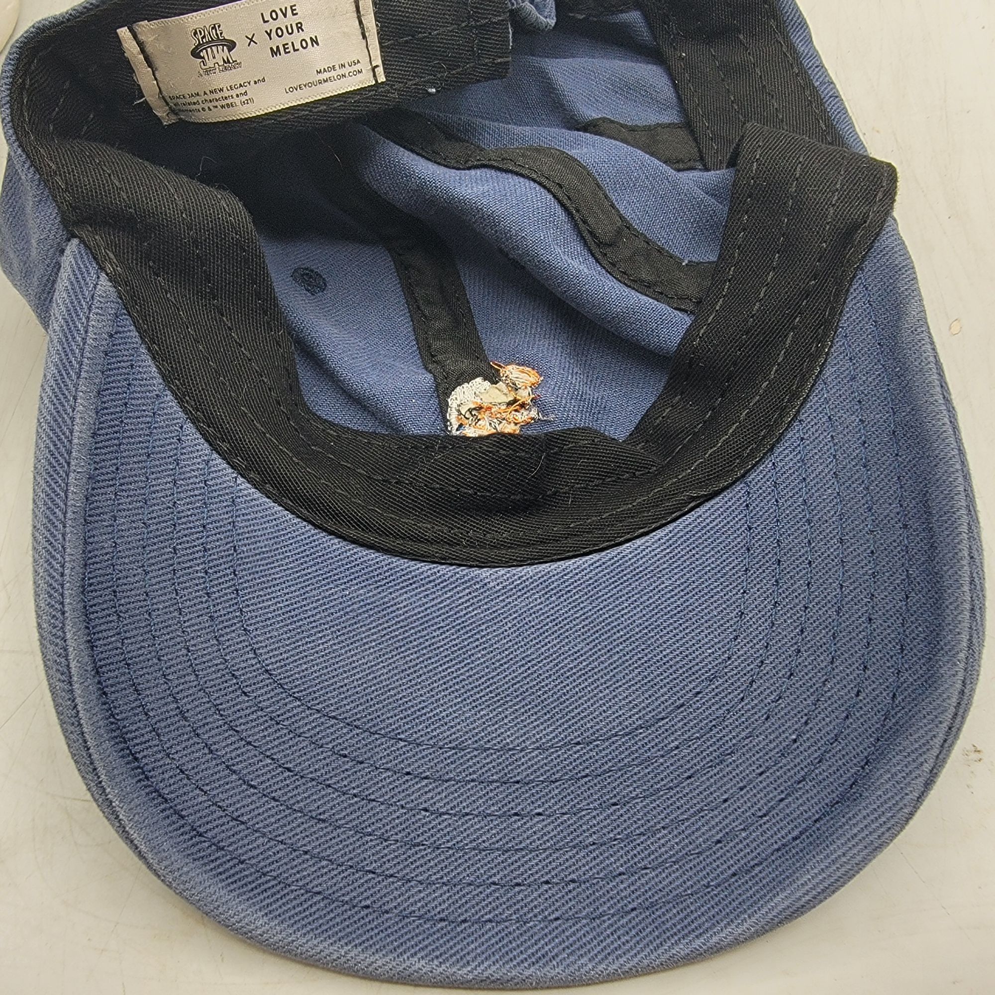Other Space Jam x Love Your Melon Adults Blue Baseball Hat Cap Bug Size ONE SIZE - 8 Thumbnail