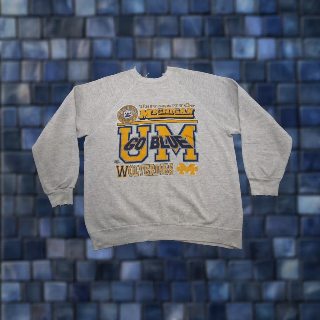 Tultex VTG 90s University of Michigan Wolverines Raglan Sleeve Sweatshirt XL Multicolor Men Hoodie Pullover Distressed 90s Theme Varsity Thrash Size US XL / EU 56 / 4 - 1 Thumbnail