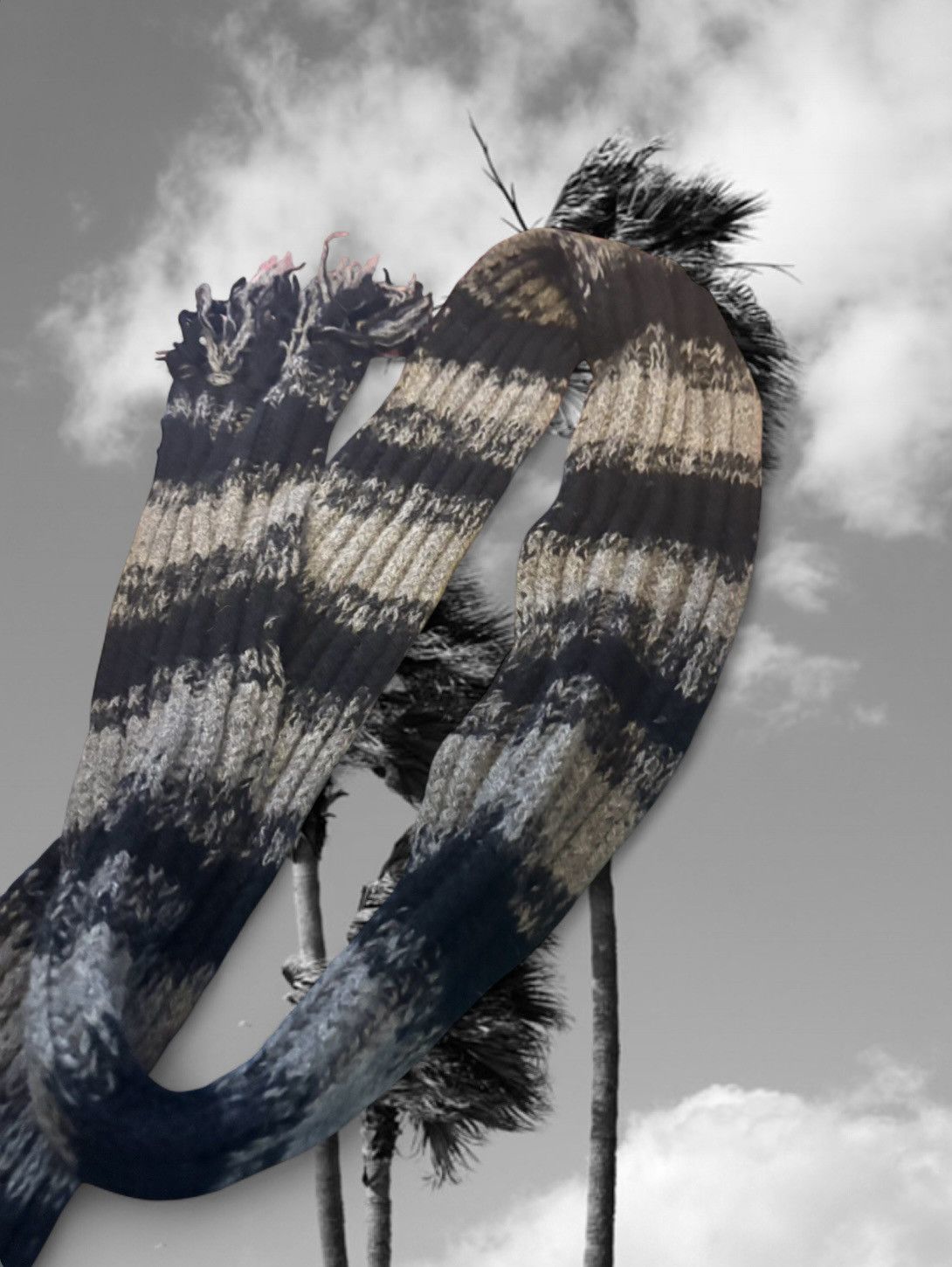 Dior Dior Homme AW06 Fringe Scarf Size ONE SIZE - 4 Thumbnail