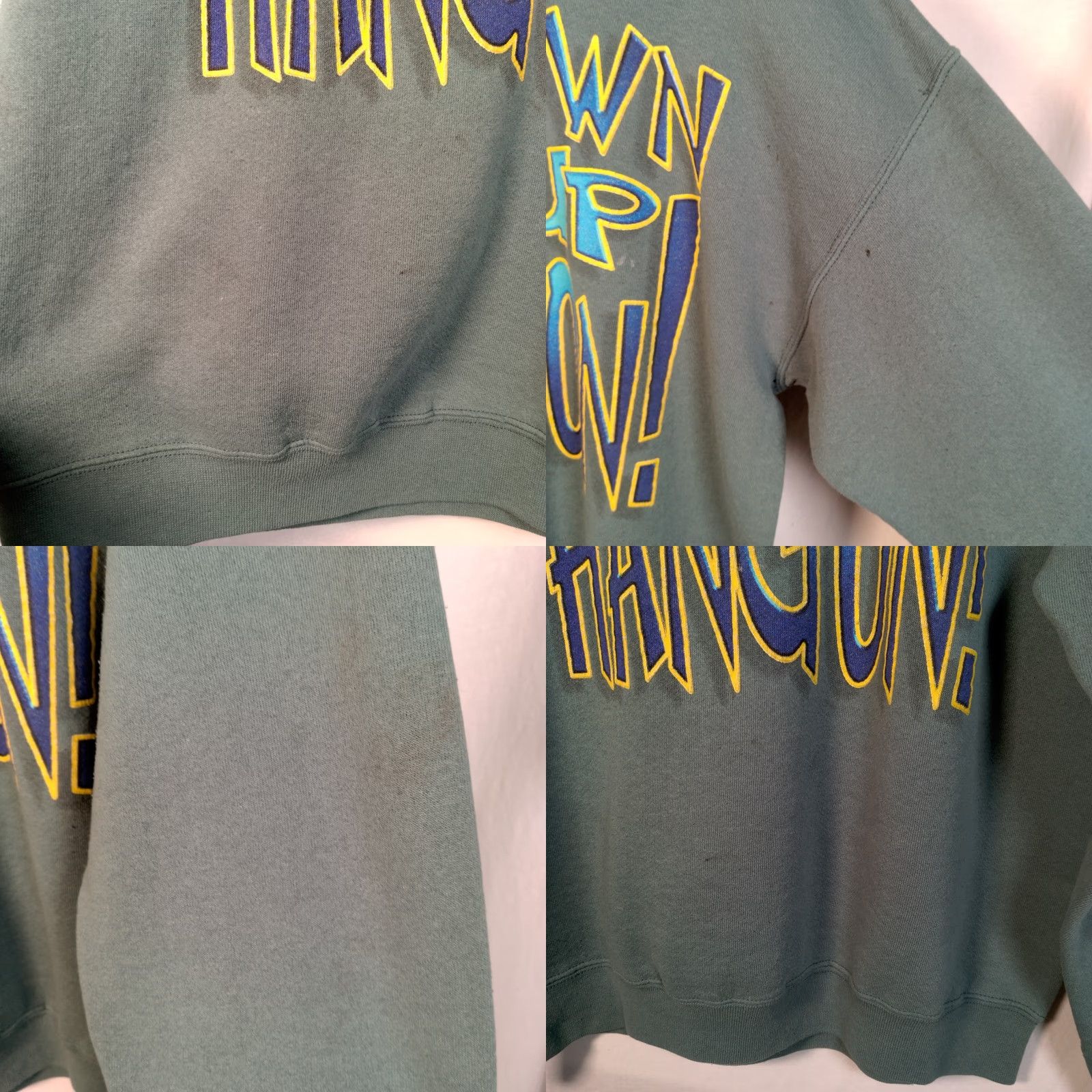 Tultex VINTAGE Tultex Sweatshirt L Men Green 90s Busch Gardens Williamsburgh VA Roller Coaster Distressed Graphic Print Pullover Crew Neck Long Sleeve Size US L / EU 52-54 / 3 - 9 Thumbnail