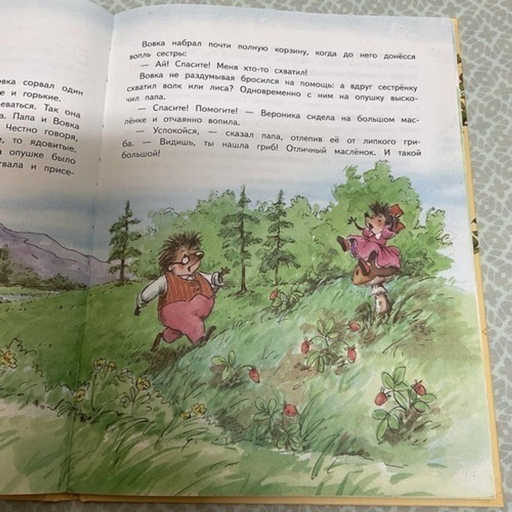 Other Андрей Усачев: Жили-были ежики / Russian kids book 3-5 Лет Size ONE SIZE - 10 Thumbnail