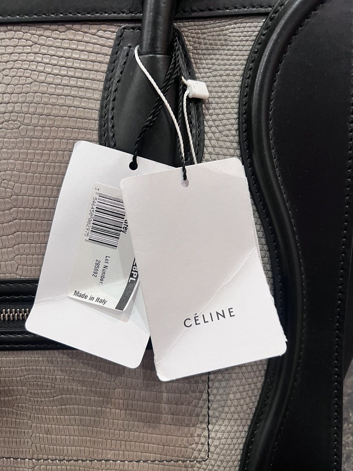 Celine Mini Luggage Leather and Lizard
