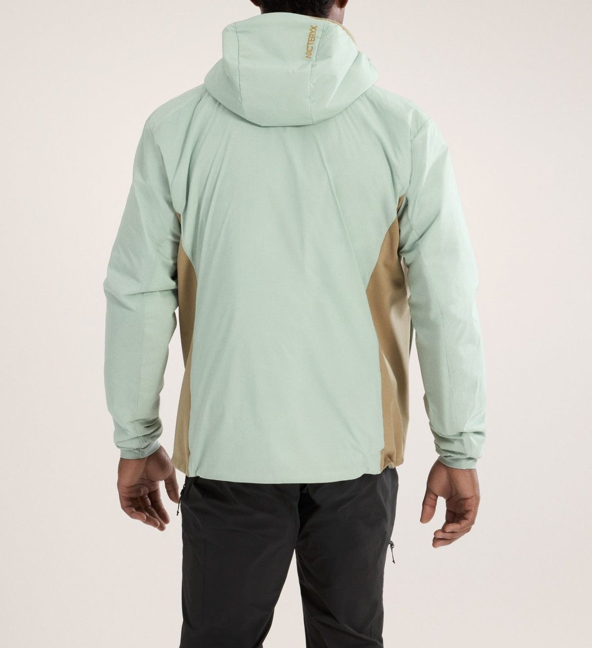 Arc'teryx Arc’teryx Atom Hoody Jacket Color Trail Magic Size US XL / EU 56 / 4 - 2 Thumbnail