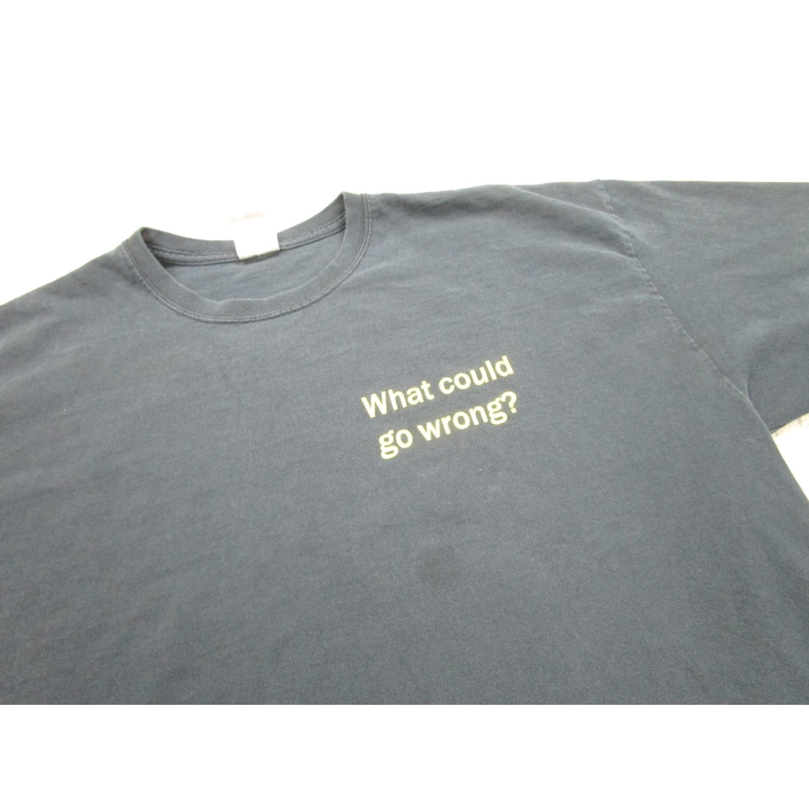 Gildan VINTAGE Fear Factor Shirt Mens XL TV Show Graphic Print Crew Neck Short Sleeve What Could Go Wrong 2.0 2.0 Fear Factor Mens XL Navy Blue? Size US XL / EU 56 / 4 - 5 Thumbnail