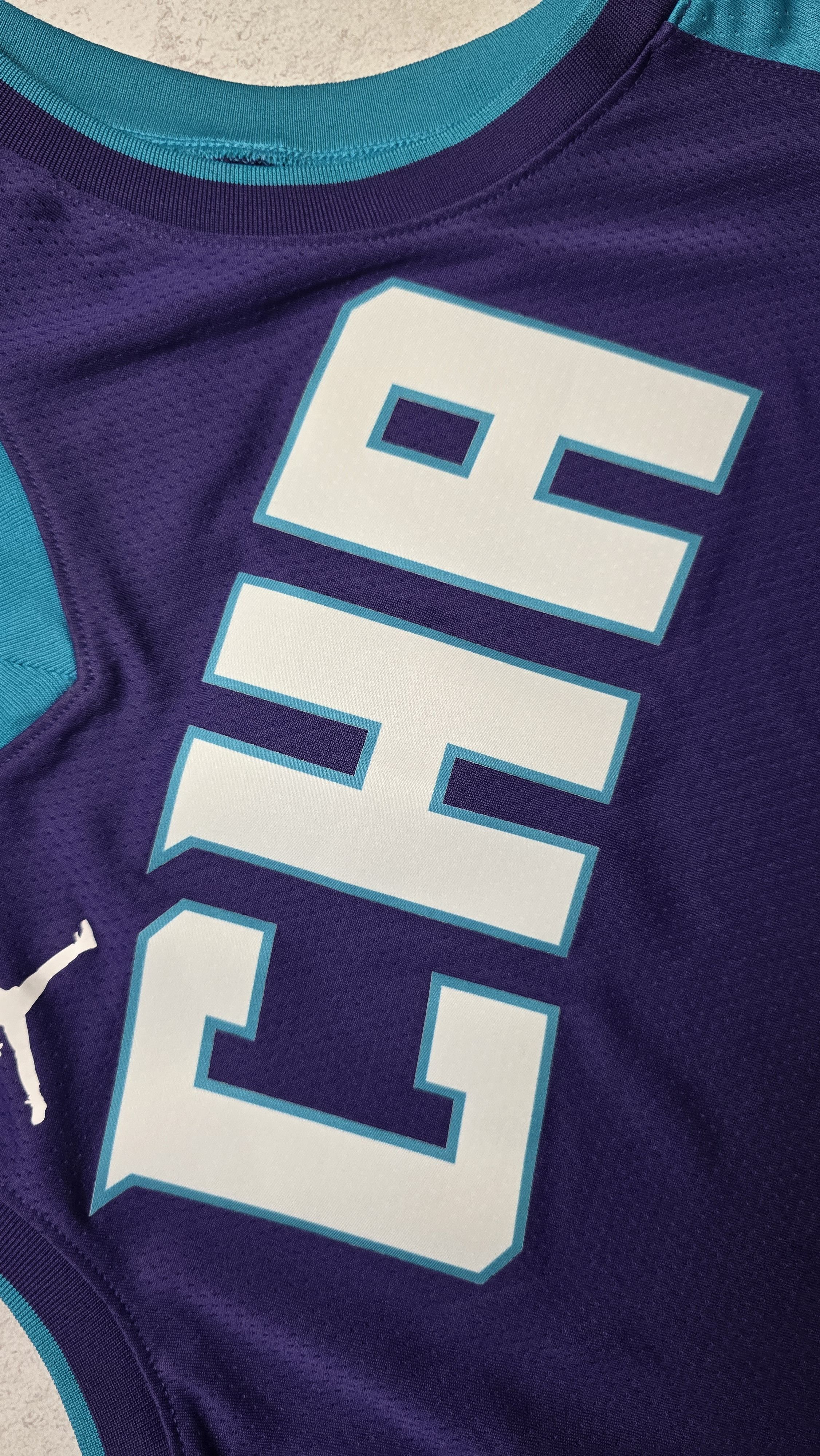 Nike Charlotte Hornets Jordan Brand Statement Swingman Jersey Size US L / EU 52-54 / 3 - 6 Thumbnail