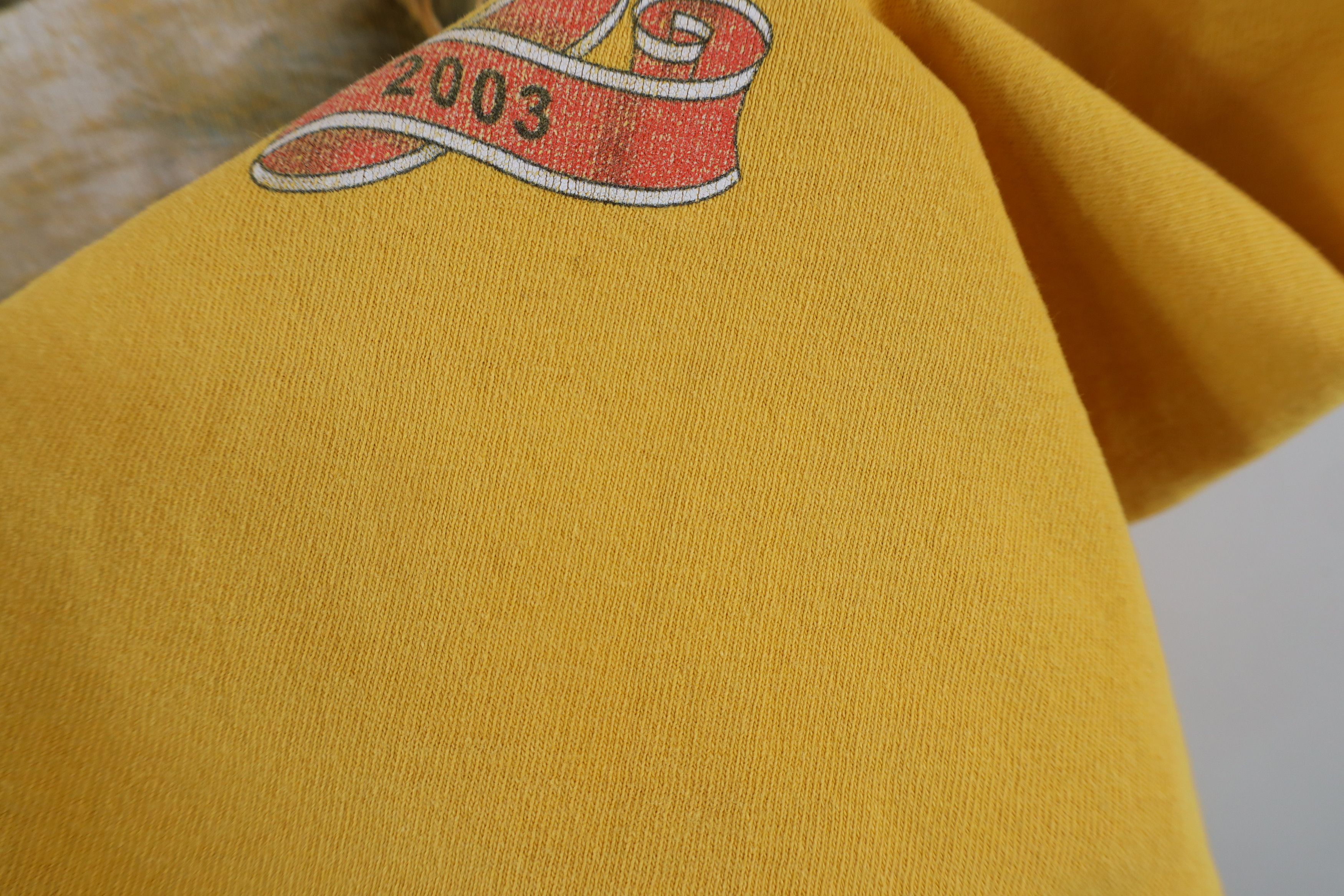 Harley Davidson × Vintage Vintage Y2K 2003 Harley Davidson Year Anniversary T-Shirt Size US S / EU 44-46 / 1 - 12 Thumbnail