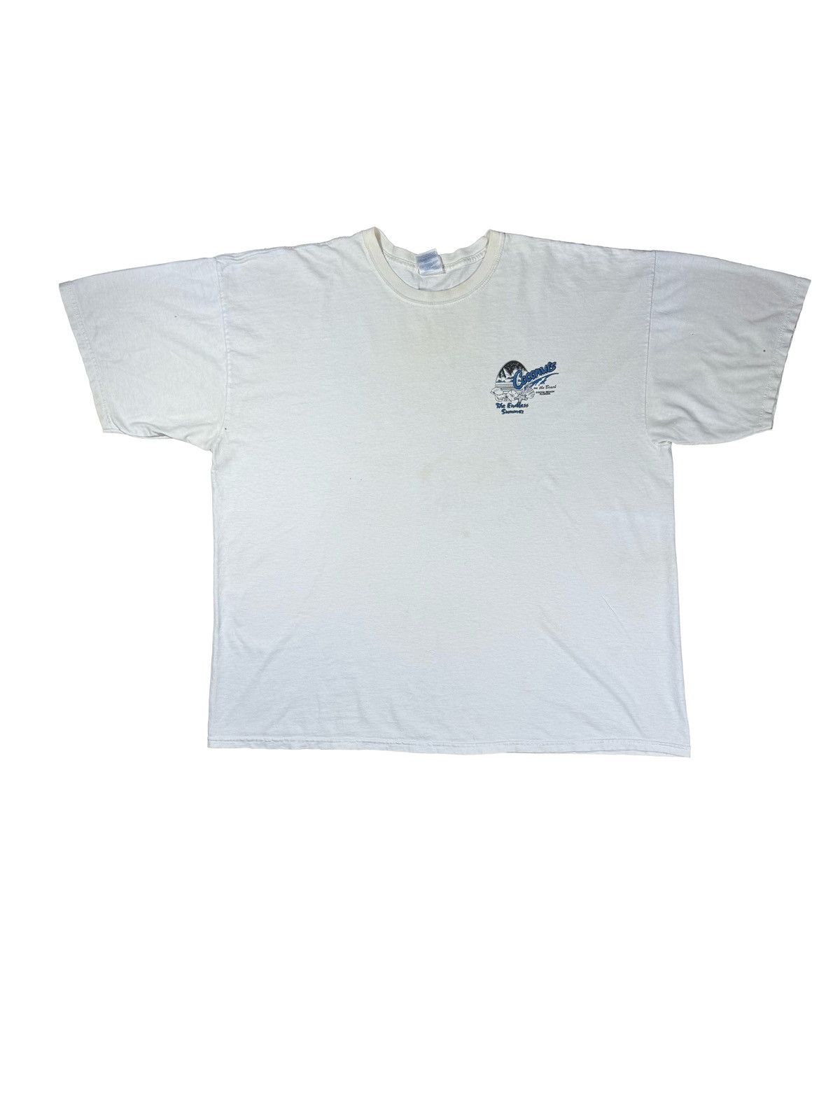 Vintage Endless Summer Vintage Tee Size US XL / EU 56 / 4 - 2 Thumbnail