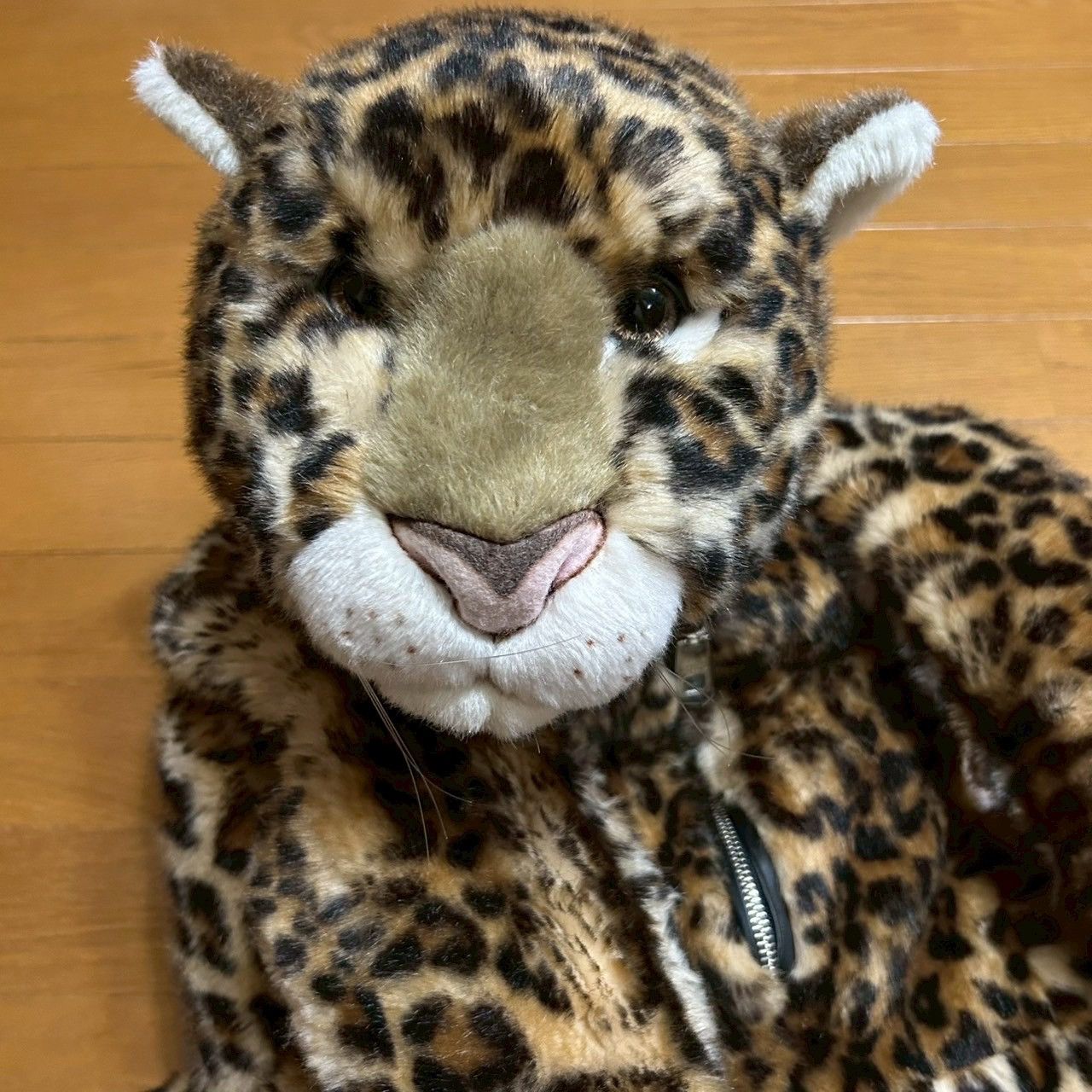洋書 DOLCE&GABBANA animal Dolce & Gabbana Dolce&Gabbana FW17 Leopard Cheetah Animal Backpack