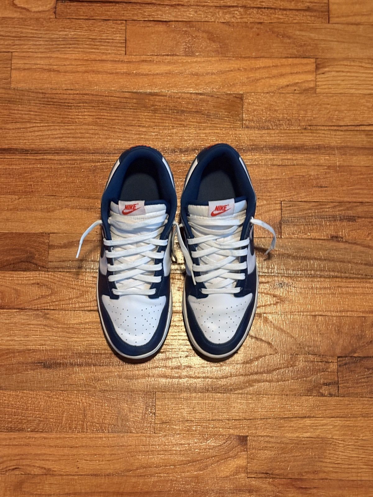 Blue nike dunks