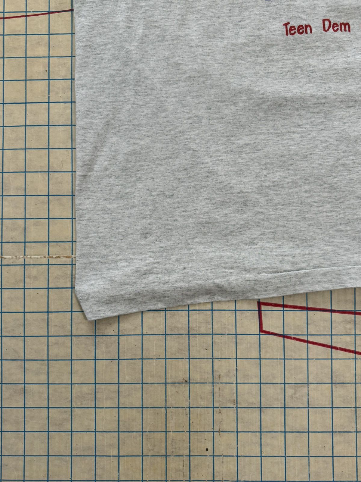 Other × Vintage Vintage Takin’ The Capitol Democratic Camp 93’ Size XL Gray Size US XL / EU 56 / 4 - 5 Thumbnail