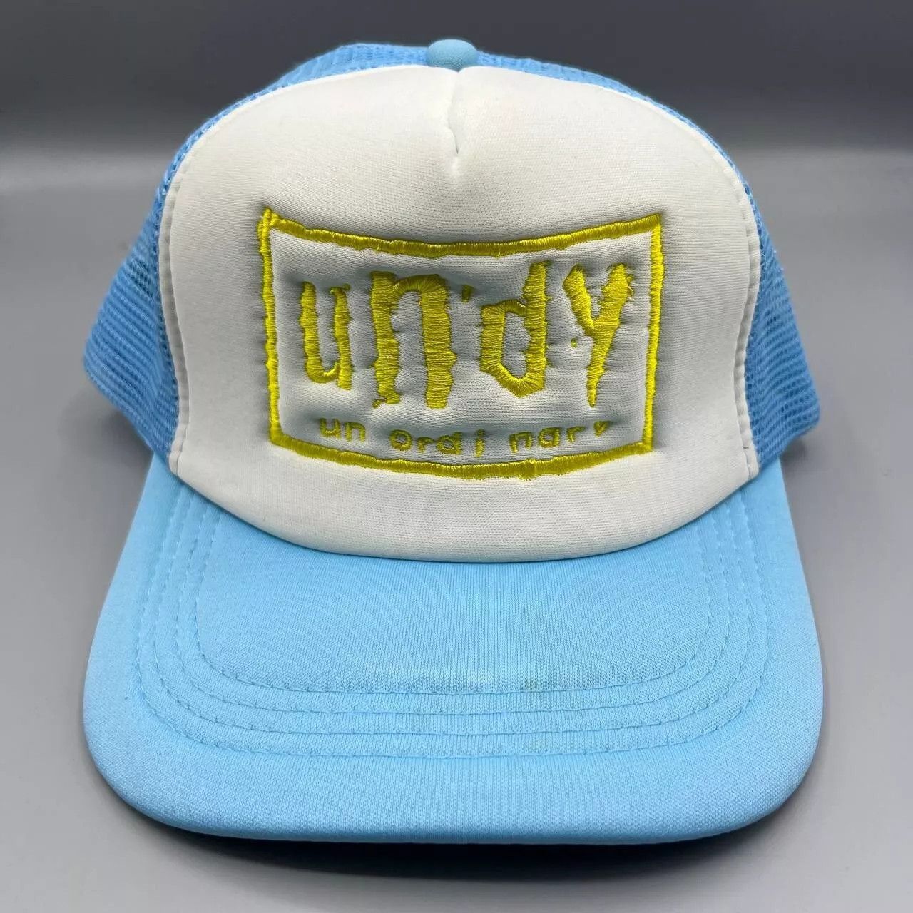 Other Un Ordinary Un'dy Trucker Hat Men Blue White Snap Back Cap Size ONE SIZE - 1 Thumbnail