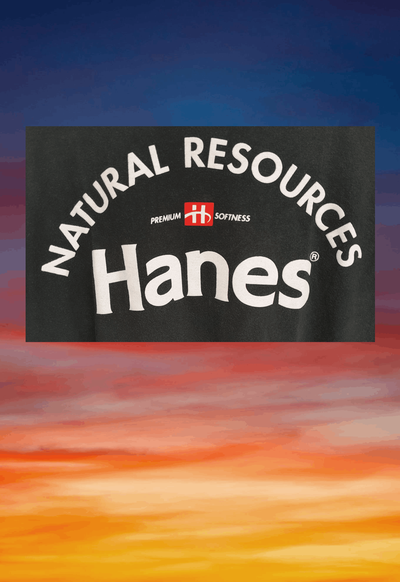 Hanes Vintage 90s HANES Natural Resources tee t-shirt Size US XL / EU 56 / 4 - 6 Thumbnail