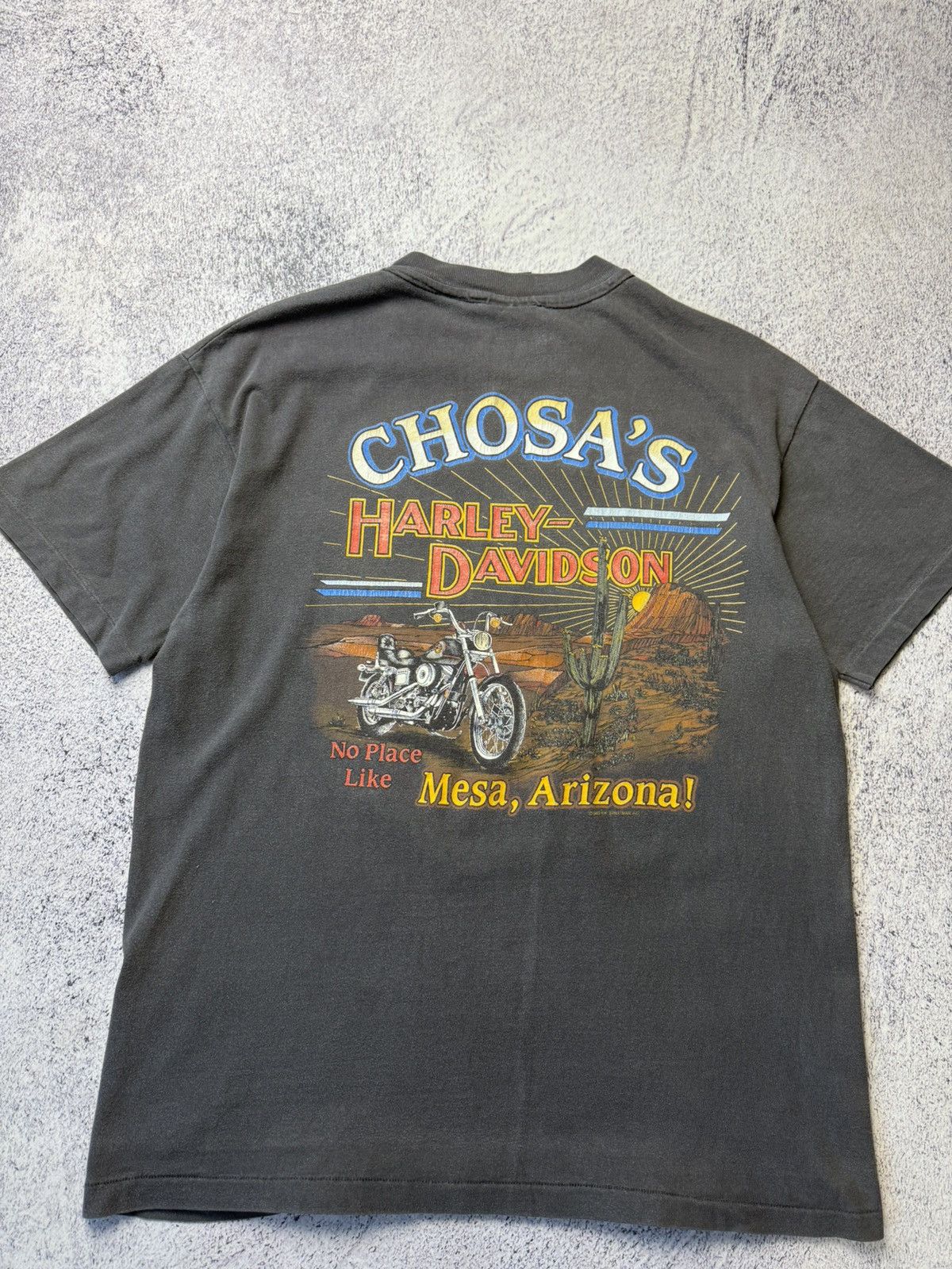 Harley Davidson Vintage Harley Davidson 1993 USA Chosa’s Mesa Arizona Y2K Size US L / EU 52-54 / 3 - 19 Thumbnail
