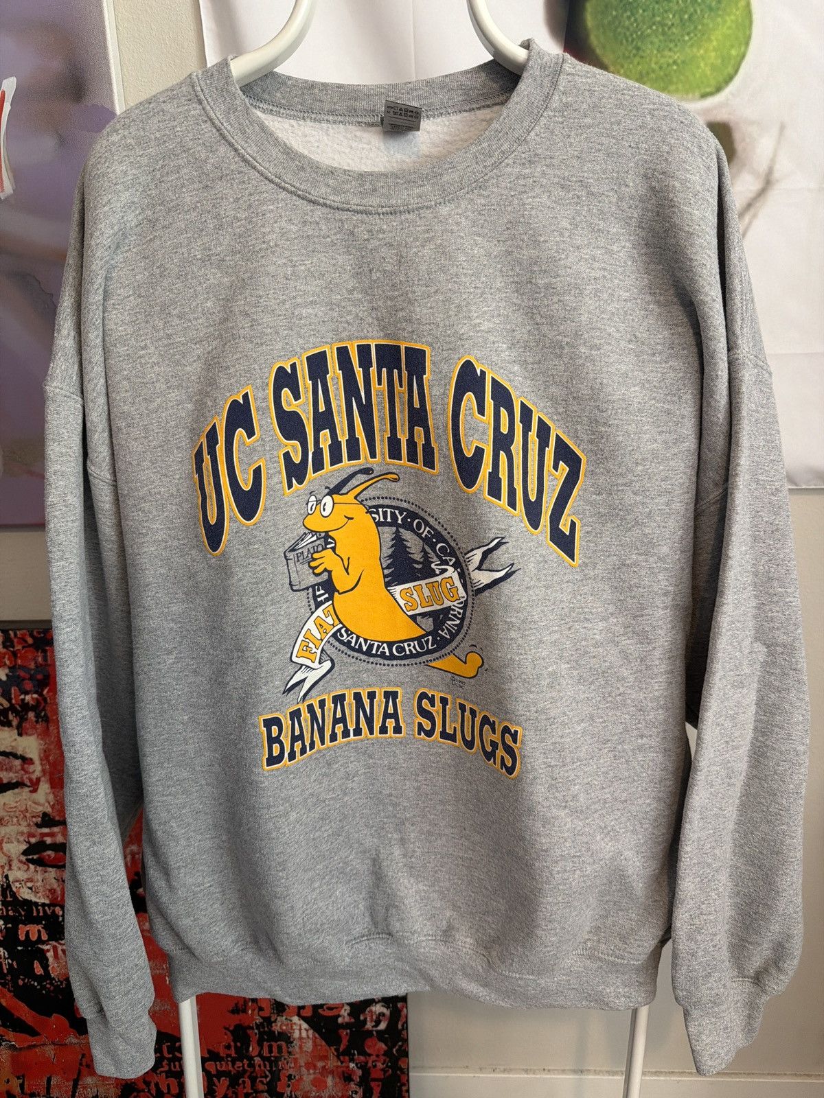 UC Santa Cruz Crewneck