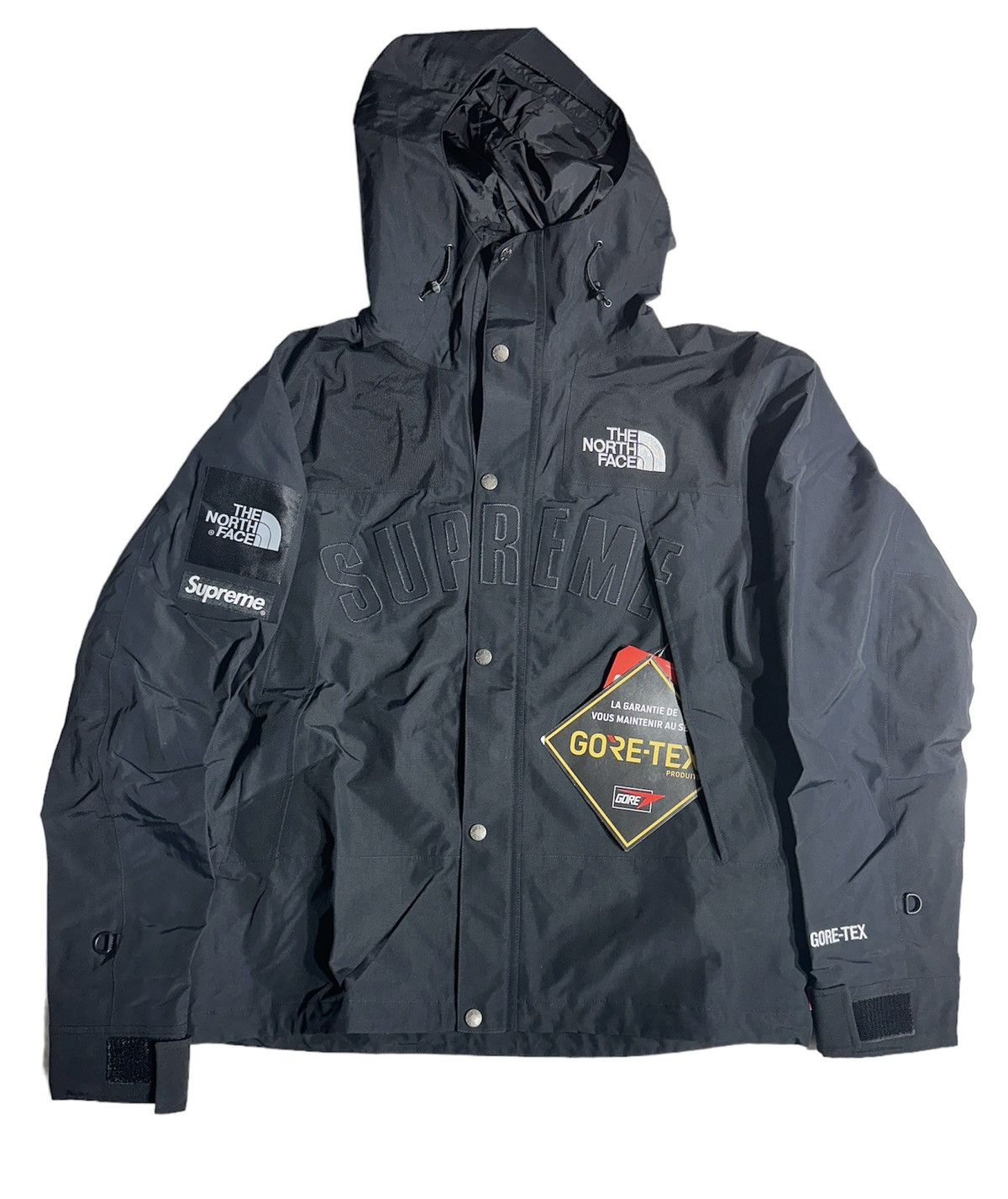 Arc logo mountain parka best sale