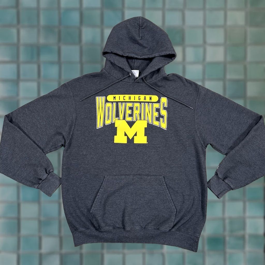 Champion Hoodie Mens Large Gray Michigan University Wolverines Hooded Pullover, Men's