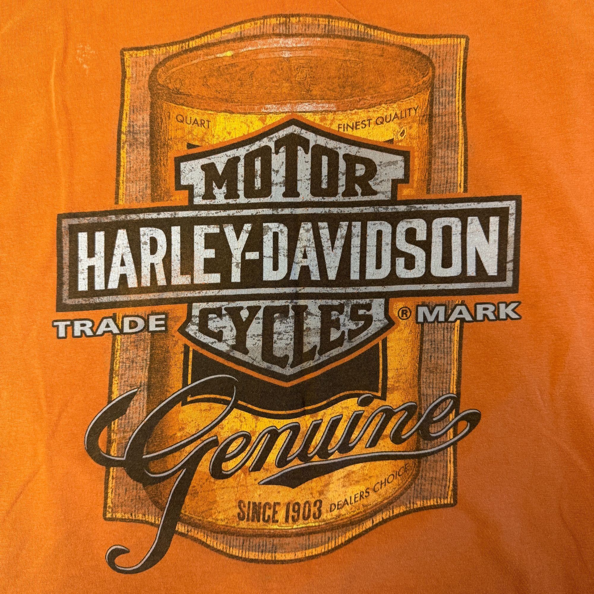 Harley Davidson HORNY TOAD Temple TEXAS 2011 Motorcycle ROASTED ARMADILLO T Size US XL / EU 56 / 4 - 4 Thumbnail