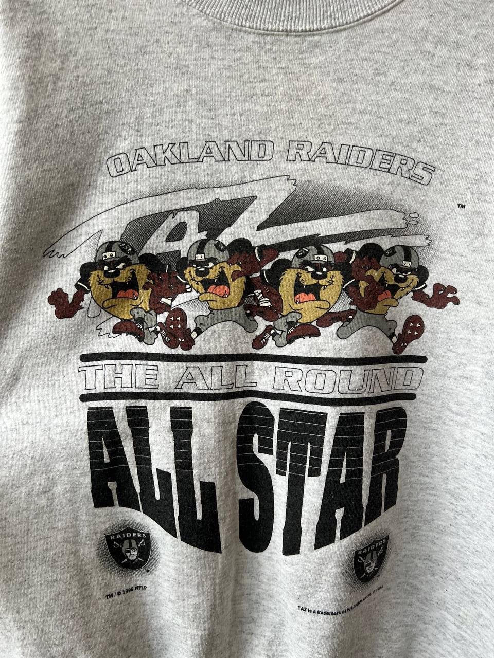 Nutmeg 1994/95 NFL LOS ANGELES RAIDERS LOONEY TUNES TAZ SWEATSHIRT Size US L / EU 52-54 / 3 - 4 Thumbnail