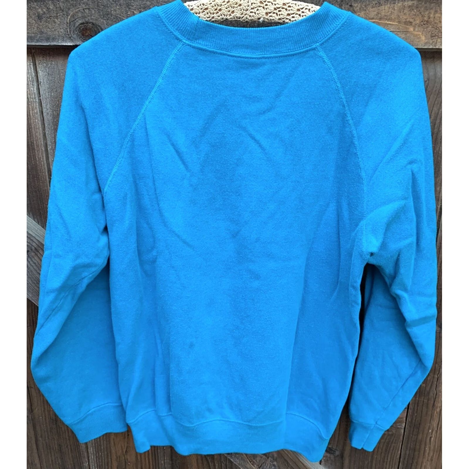 Hanes VINTAGE Hanes Raglan Sweatshirt Carrot Carrots 80s City Nature Blue Wool Blend Cotton 50/50 Graphic Print Pullover Men M Size US M / EU 48-50 / 2 - 5 Thumbnail