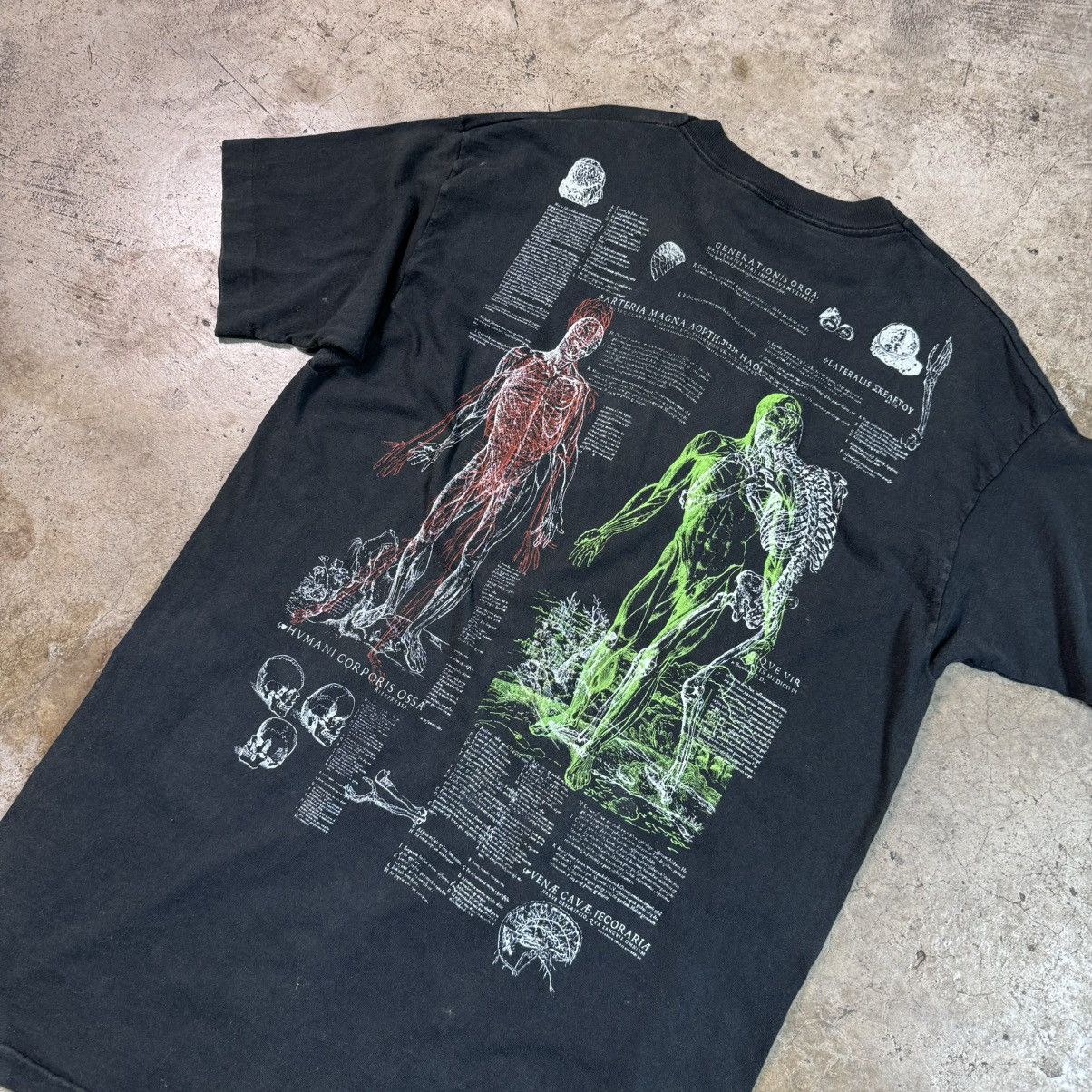 Vintage Anatomy Collection Size US XXL / EU 58 / 5 - 6 Thumbnail