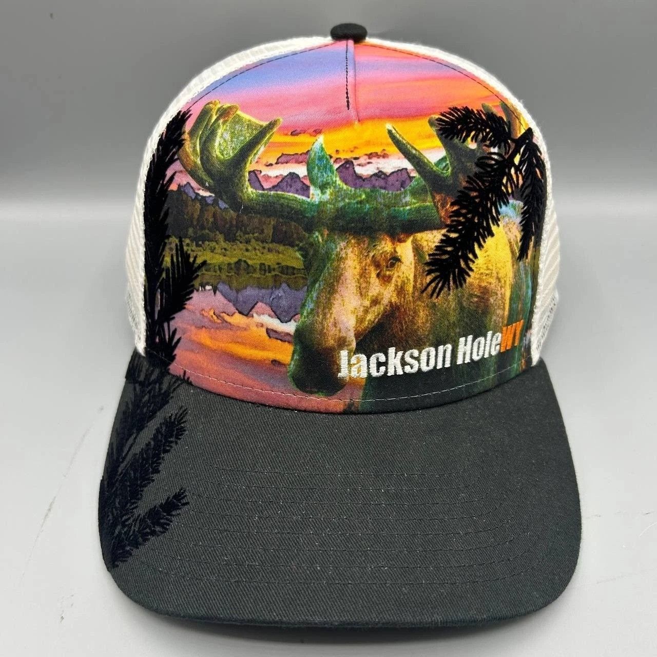 The Game Jackson Hole Wyoming Trucker Hat Men The Game Snap Back New Size ONE SIZE - 1 Thumbnail